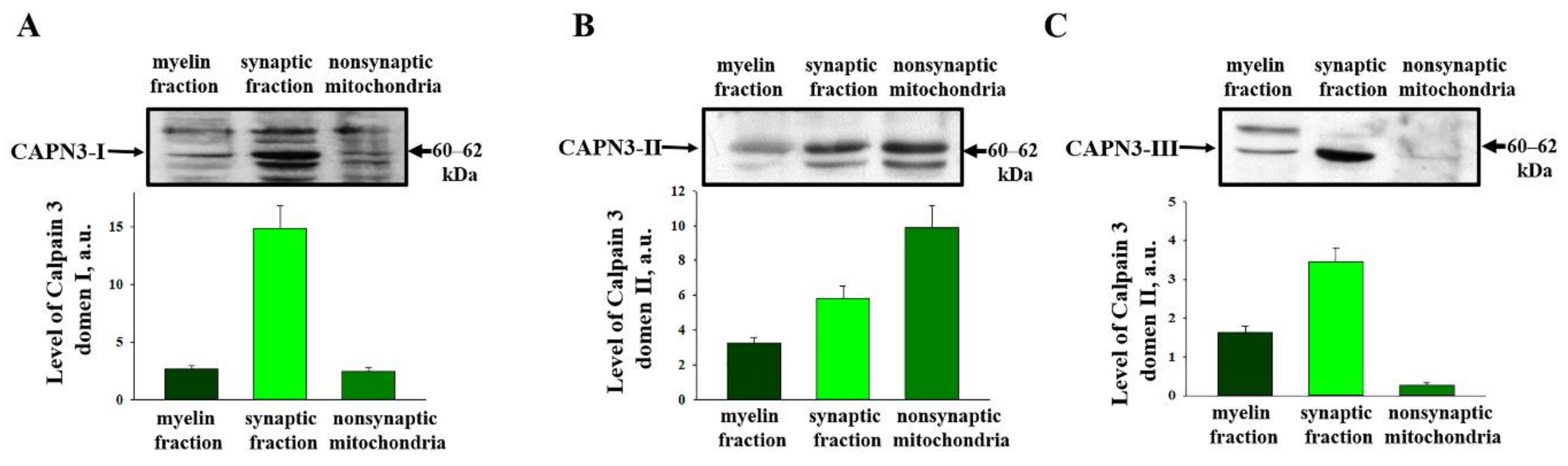 Ijms 22 10613 g003 550