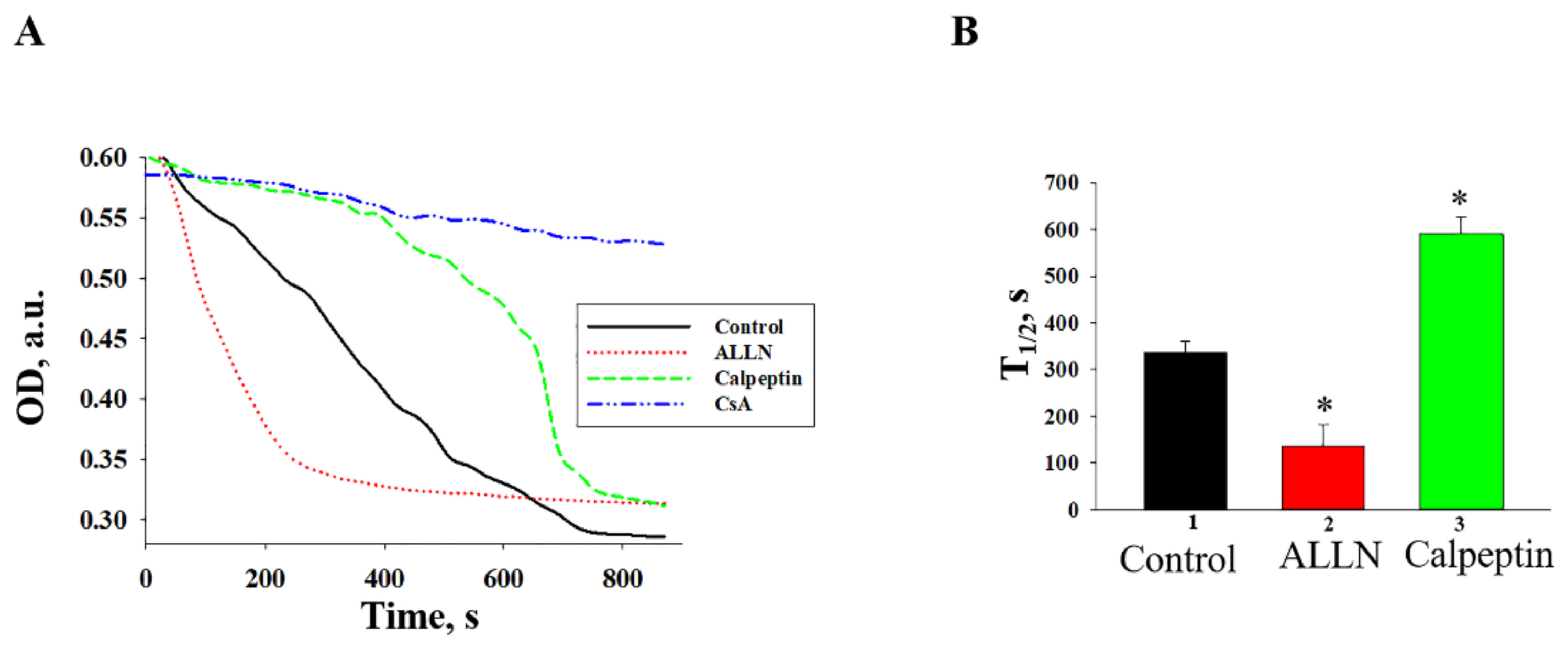 Ijms 22 10613 g006 550