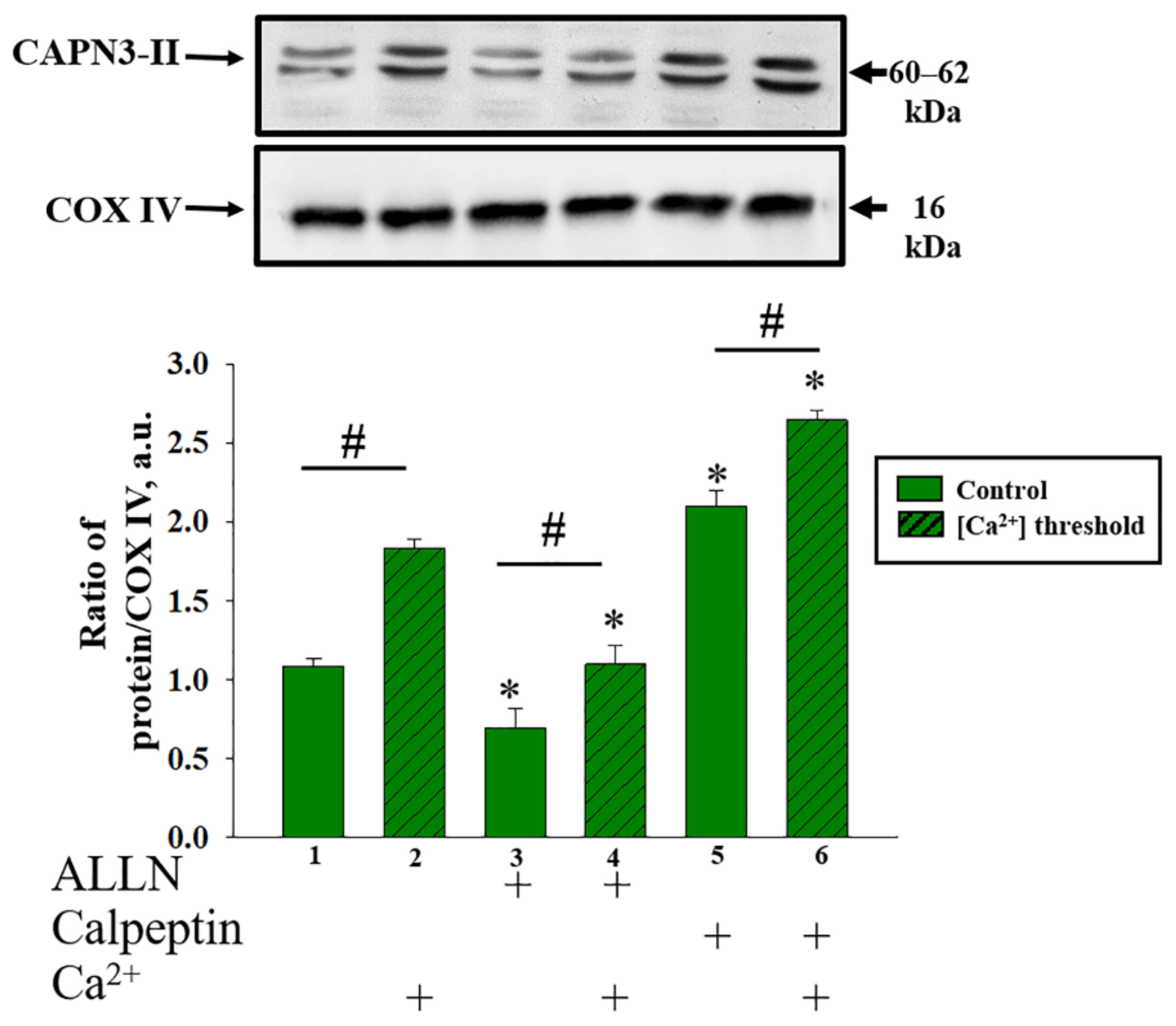 Ijms 22 10613 g007 550