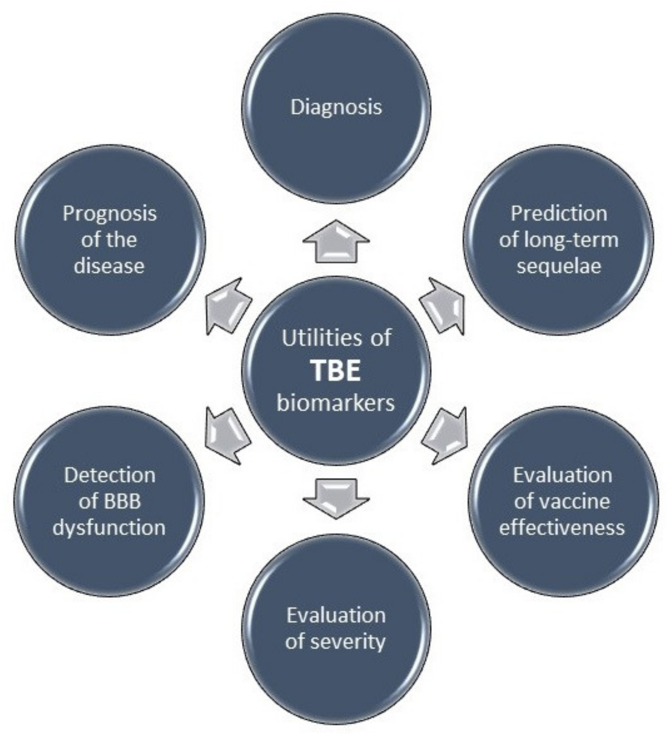 Ijms 22 10615 g002 Ijms 22 10615 g002