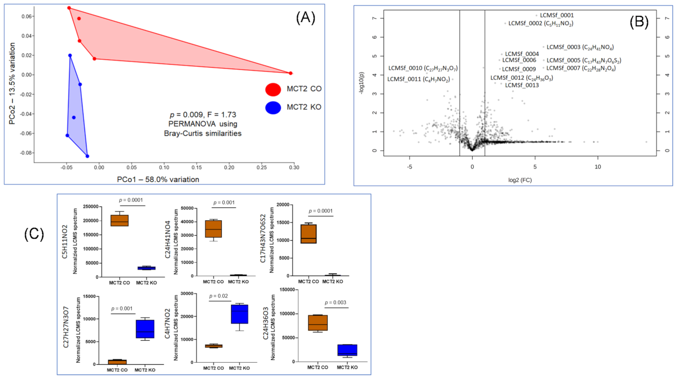 Ijms 22 10616 g005 550