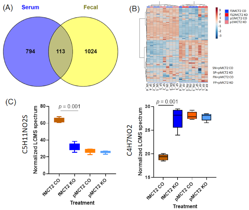 Ijms 22 10616 g007 550