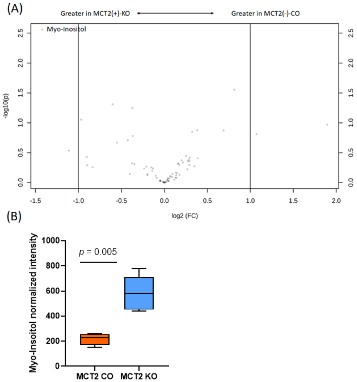 Ijms 22 10616 g008 550