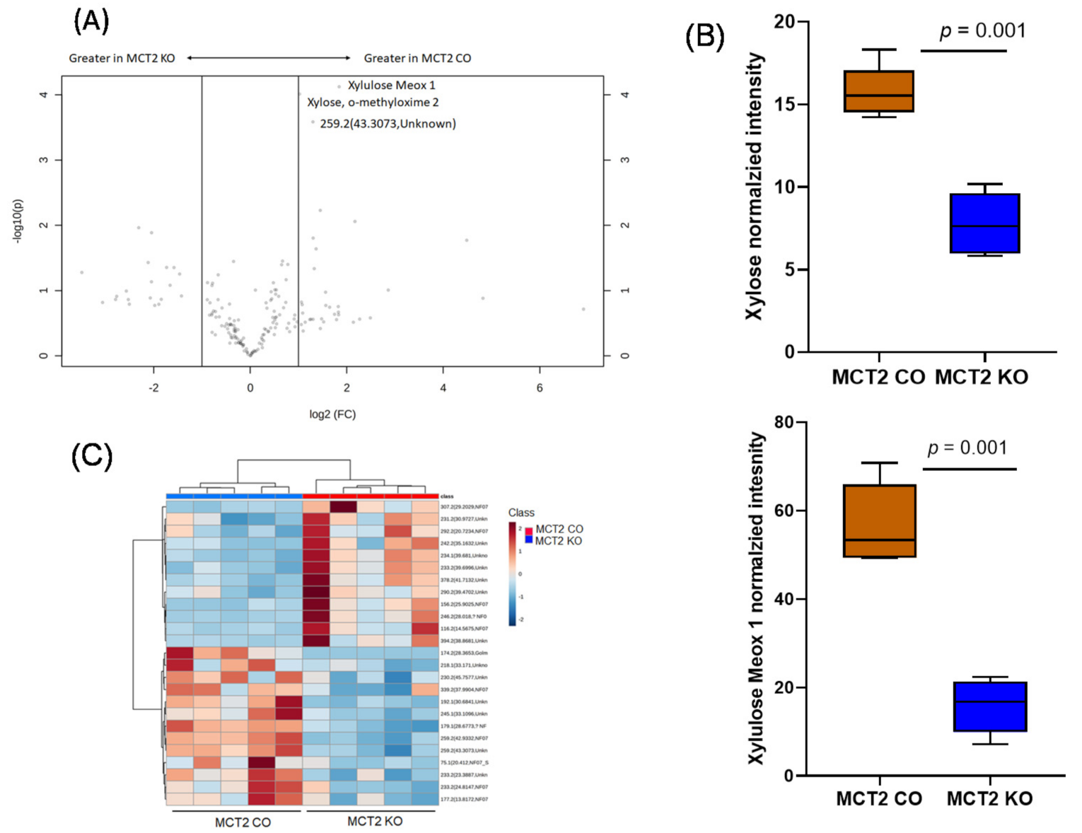Ijms 22 10616 g009 550