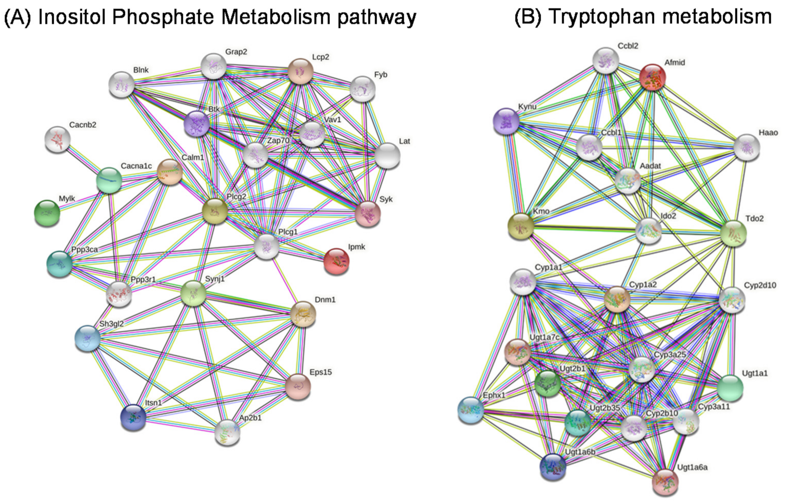 Ijms 22 10616 g011 550