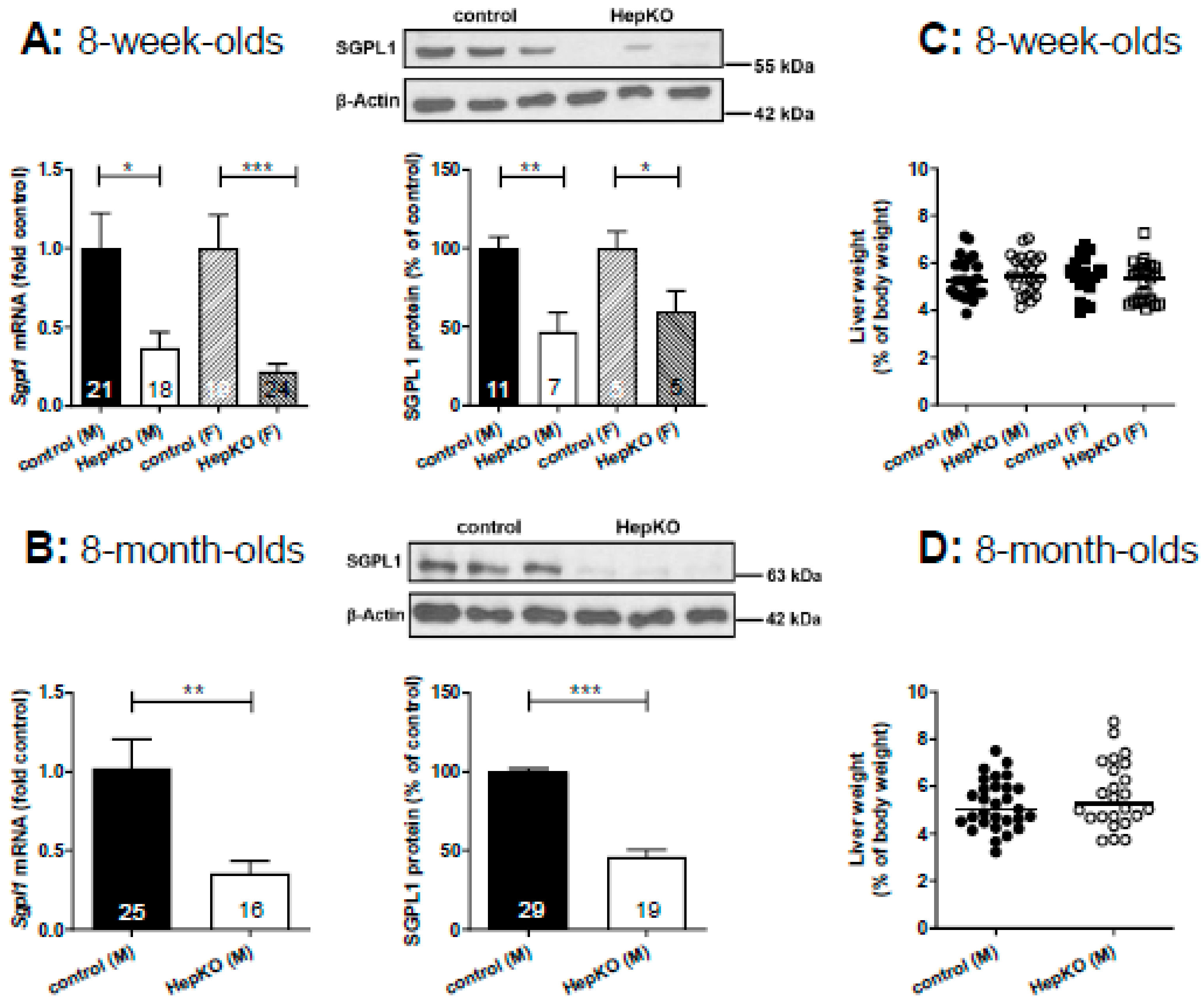 Ijms 22 10617 g001a 550