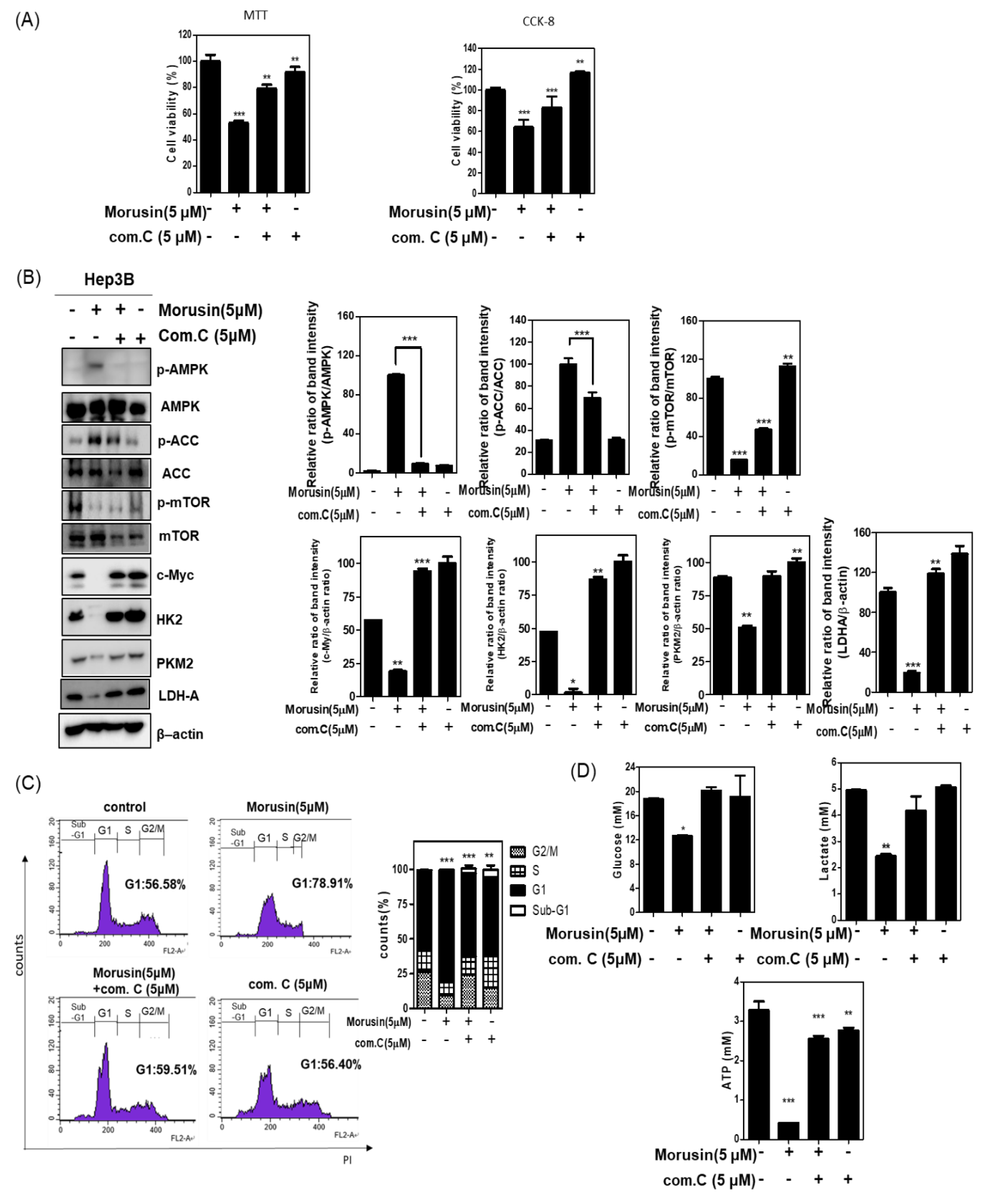 Ijms 22 10619 g004 550