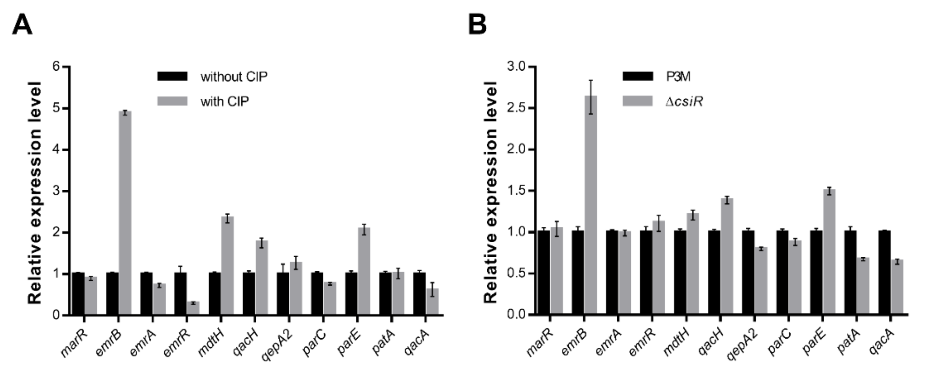 Ijms 22 10627 g003 Ijms 22 10627 g003
