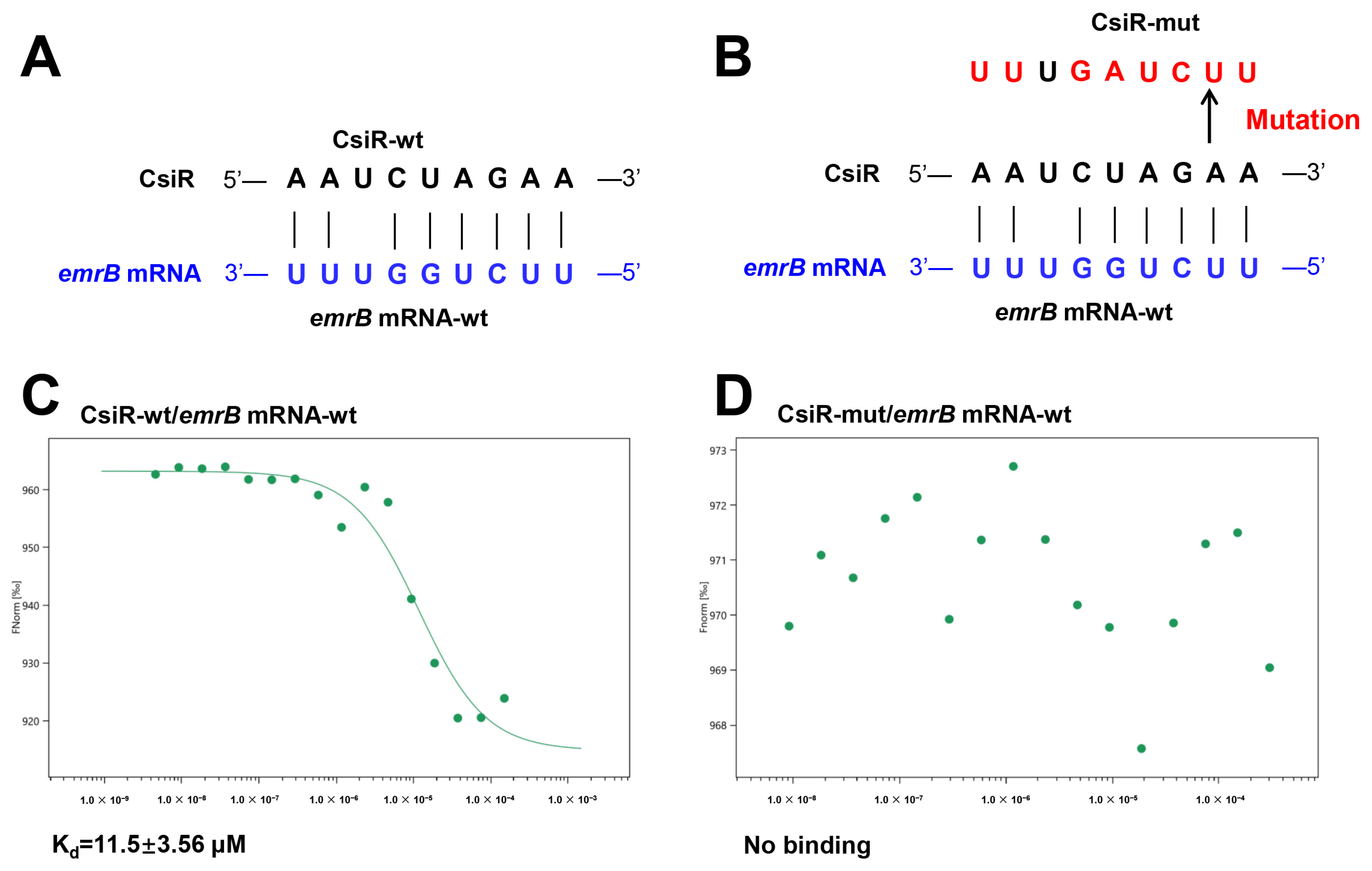 Ijms 22 10627 g005 Ijms 22 10627 g005