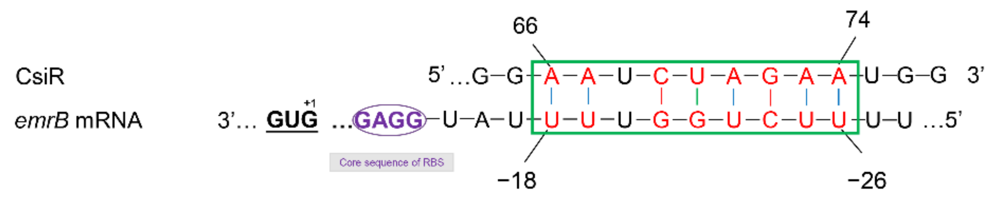 Ijms 22 10627 g007 Ijms 22 10627 g007