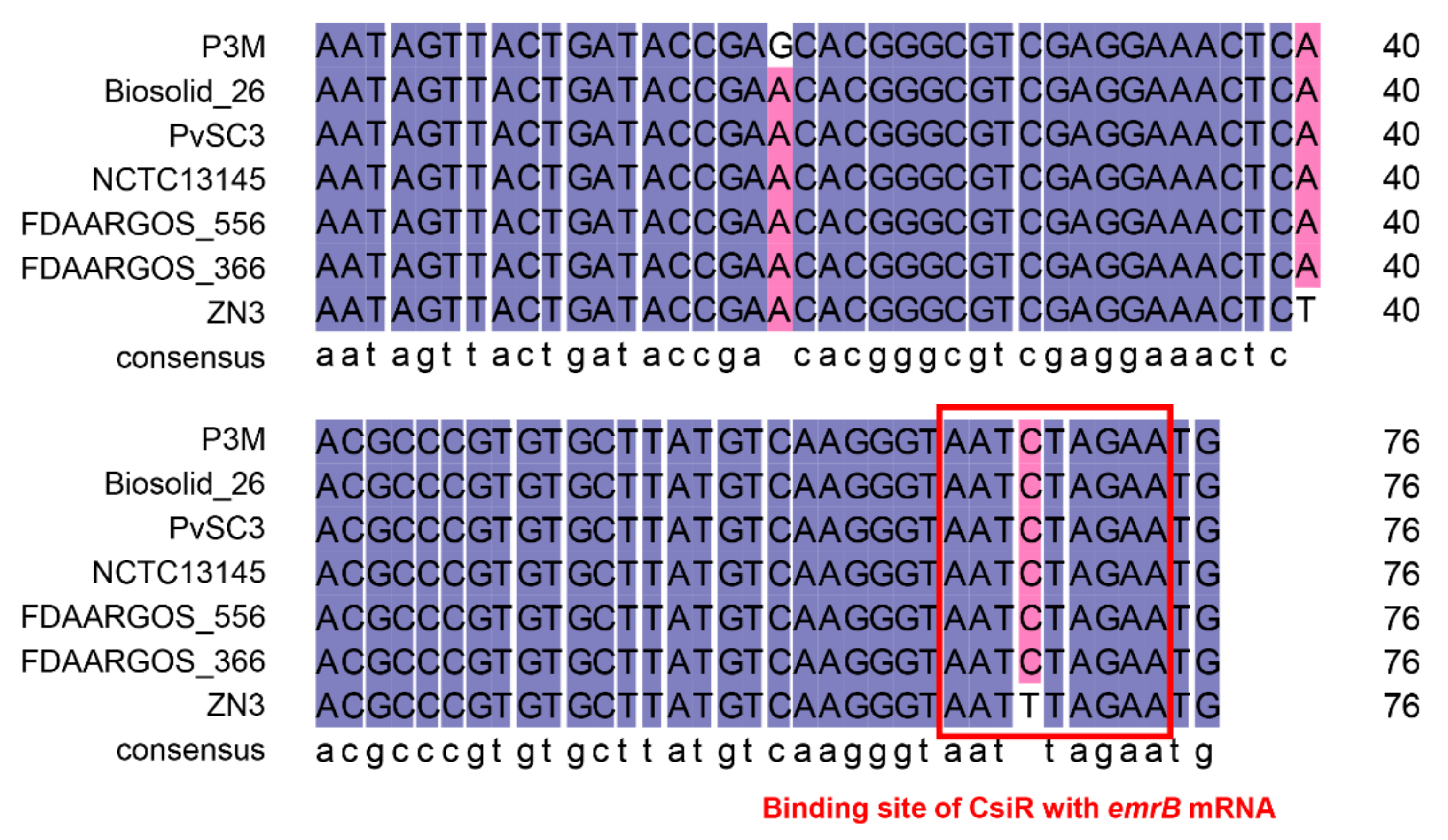 Ijms 22 10627 g010 Ijms 22 10627 g010