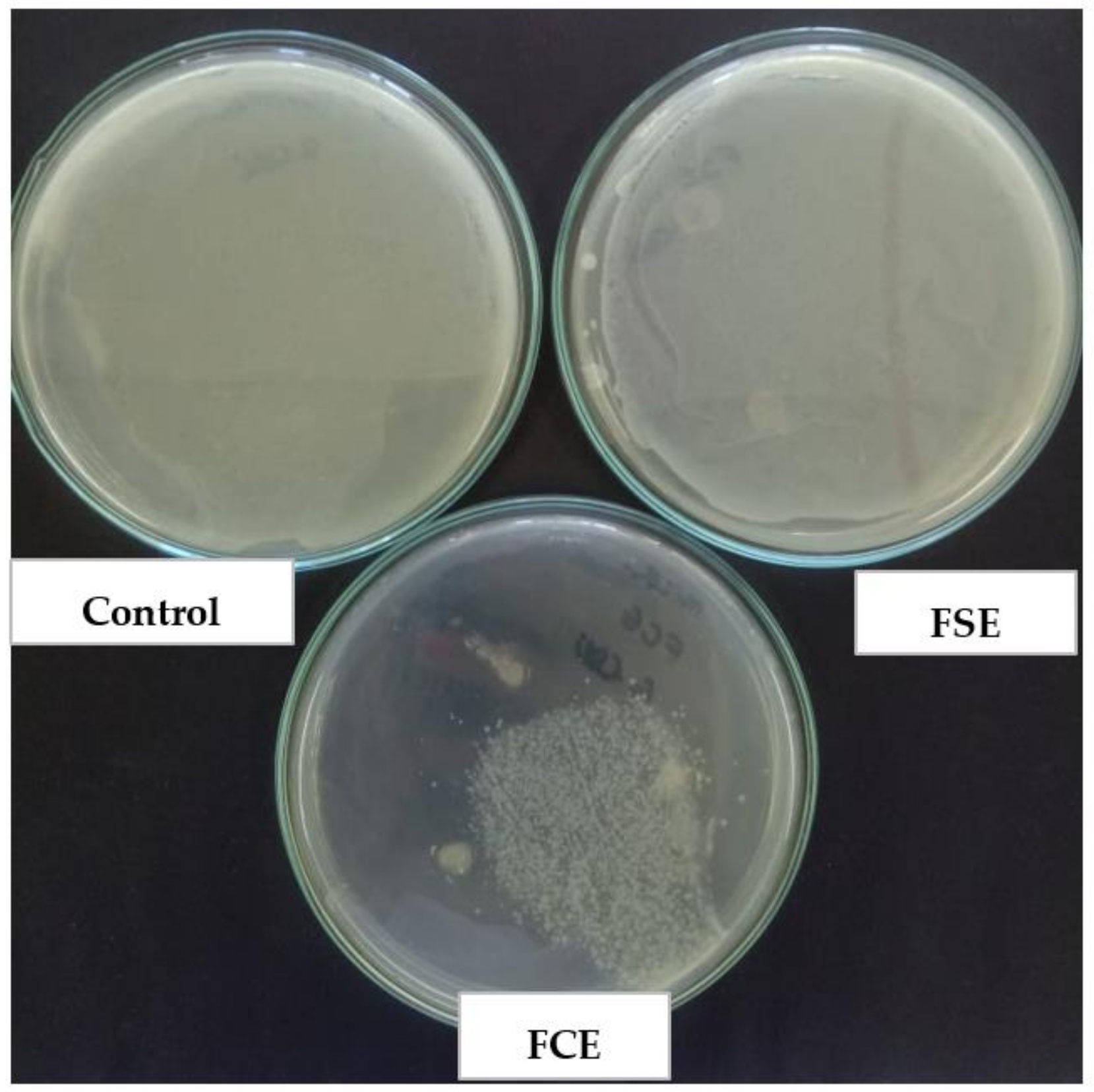 Ijms 22 10628 g006 550