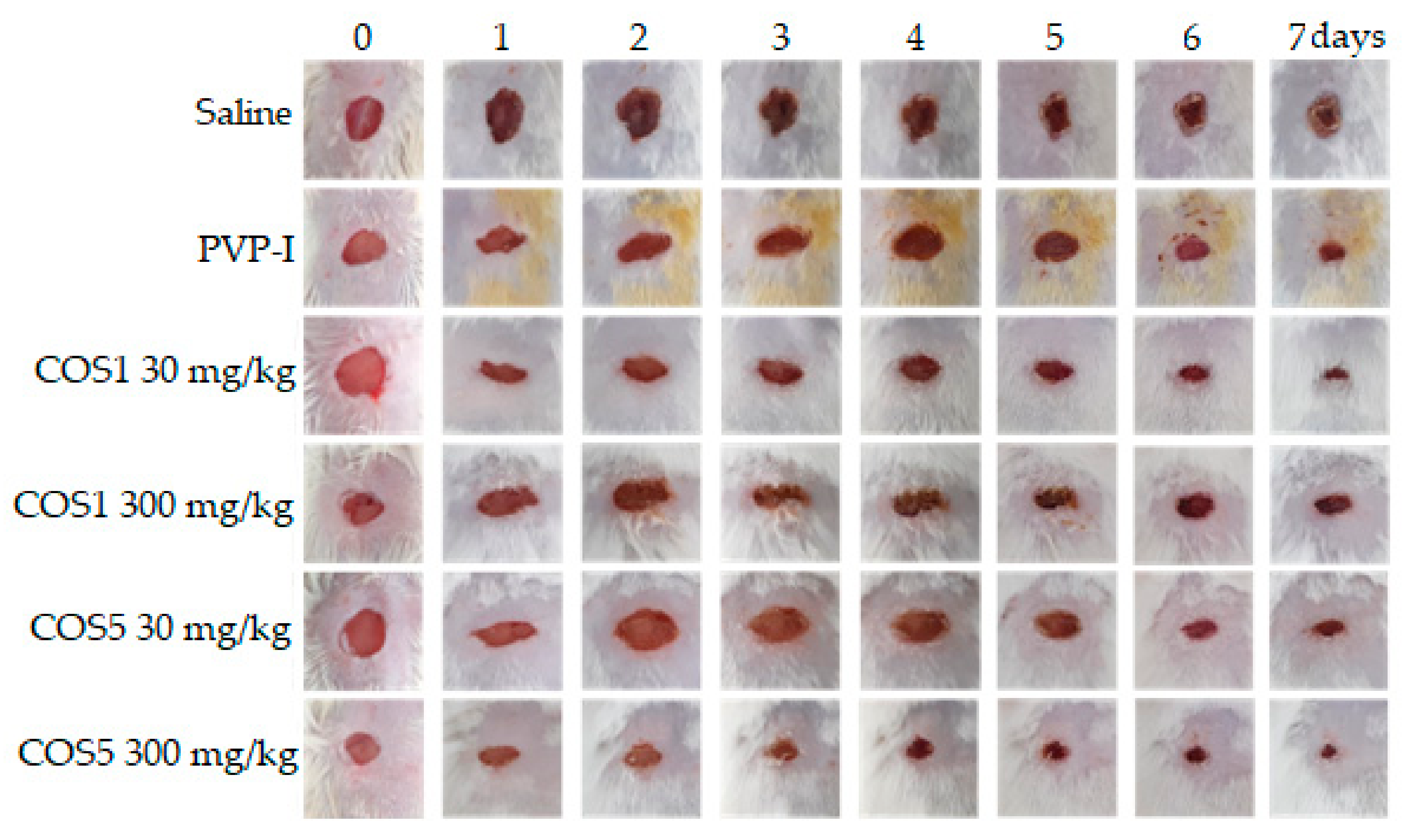 Ijms 22 10631 g009 550