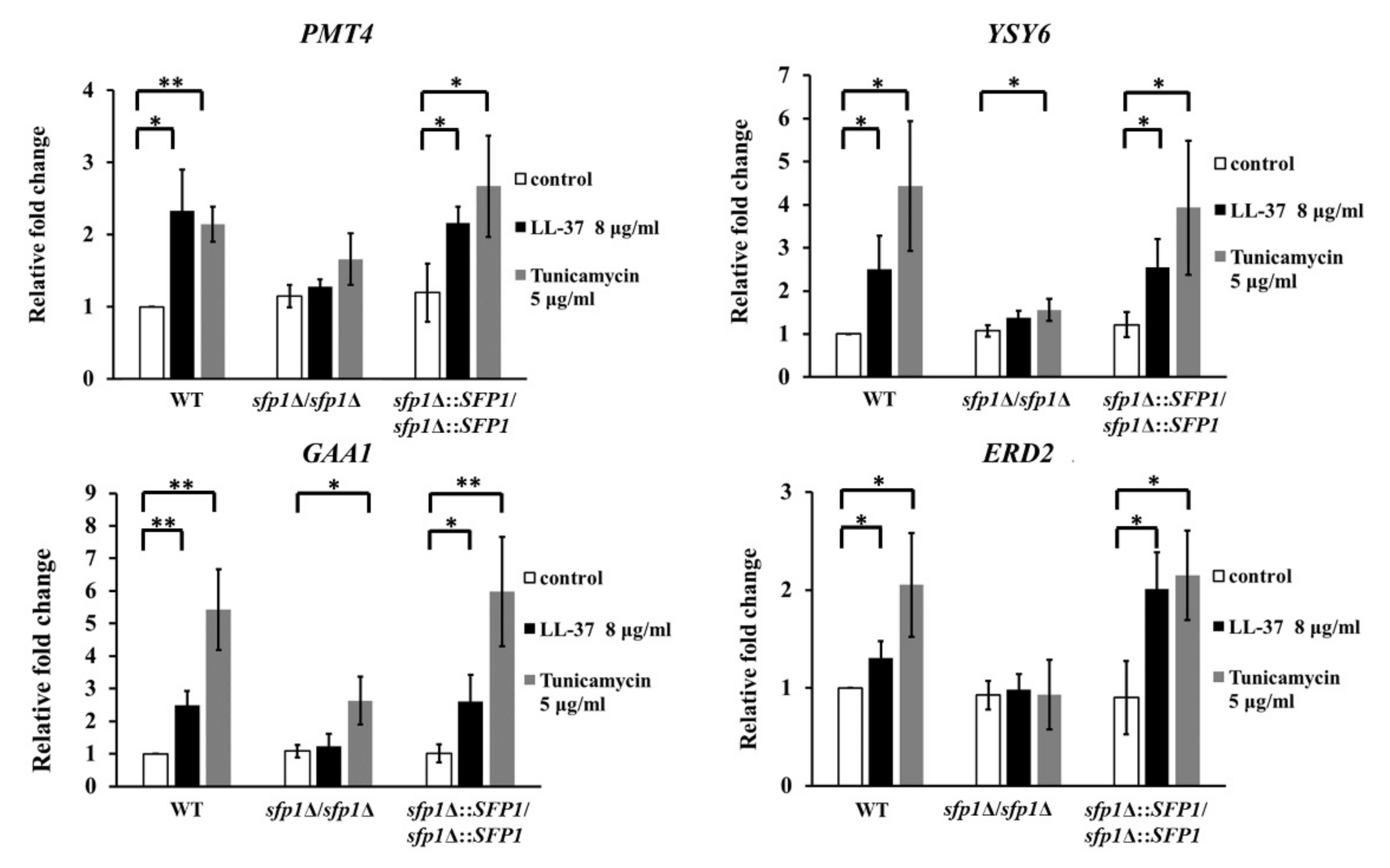 Ijms 22 10633 g004 Ijms 22 10633 g004