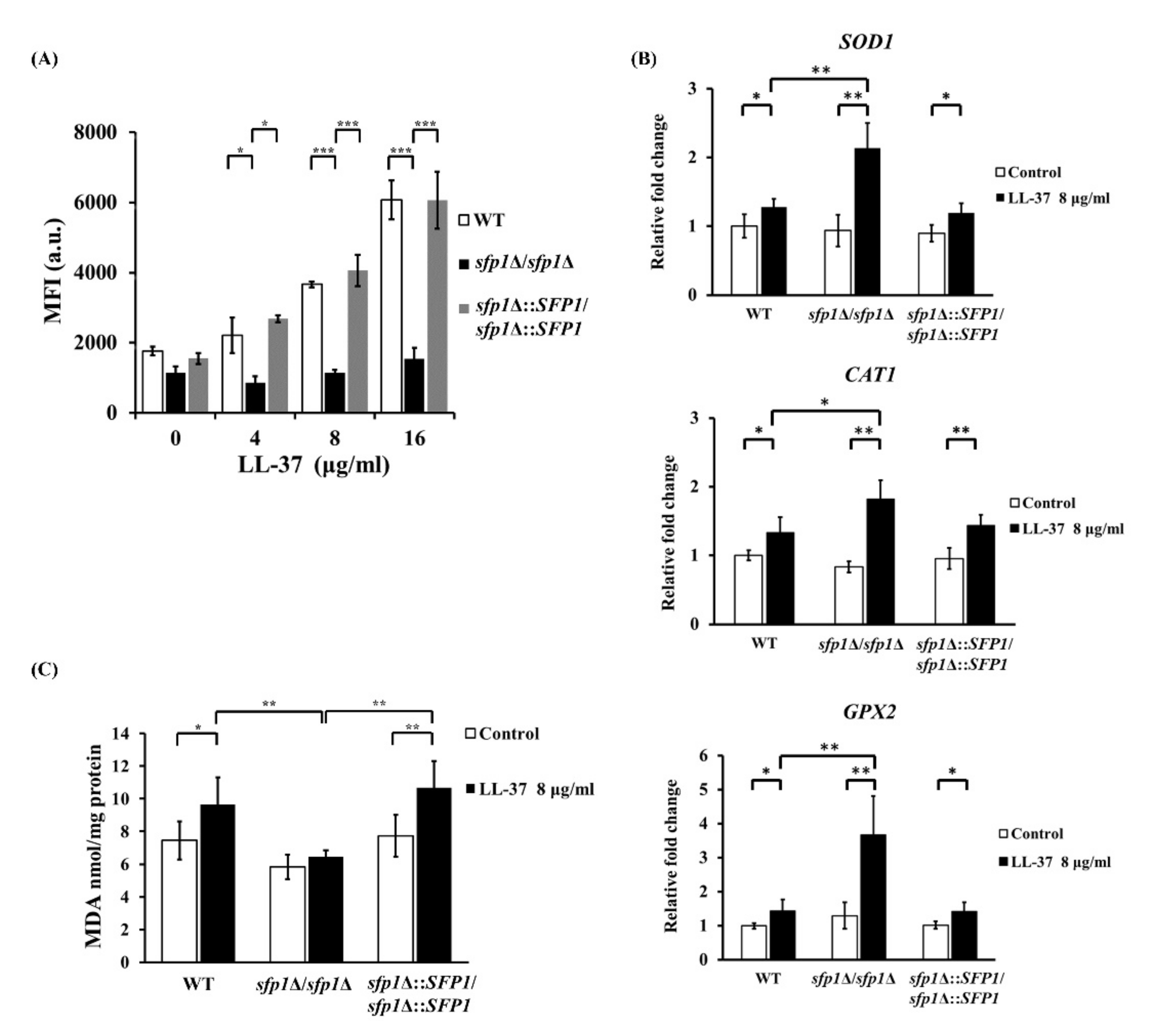 Ijms 22 10633 g005 Ijms 22 10633 g005