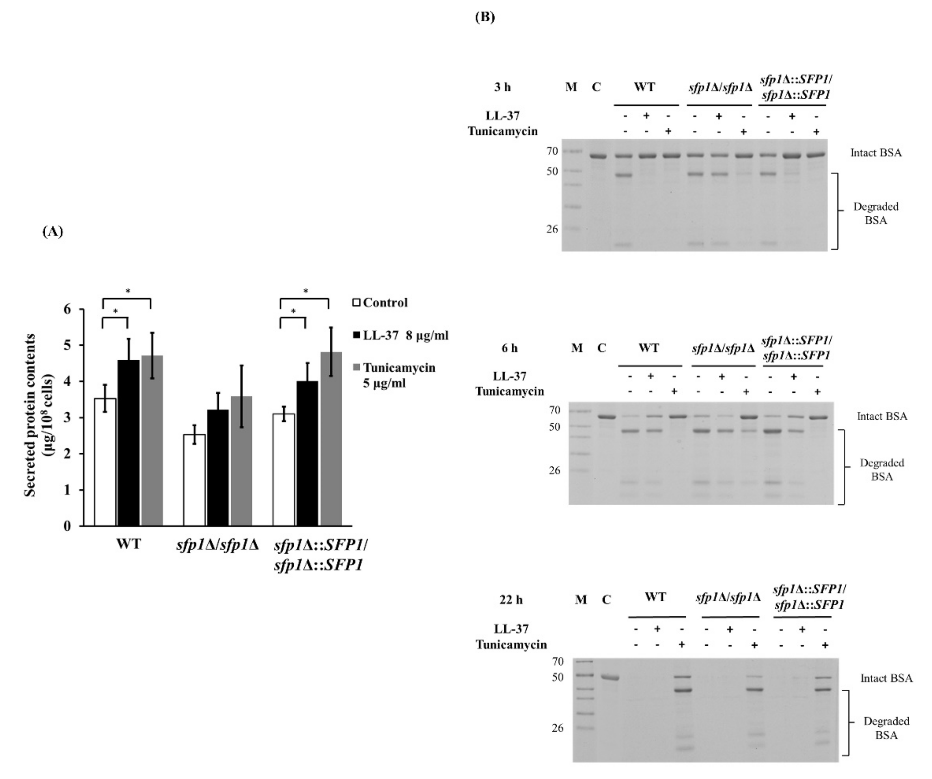 Ijms 22 10633 g007 Ijms 22 10633 g007