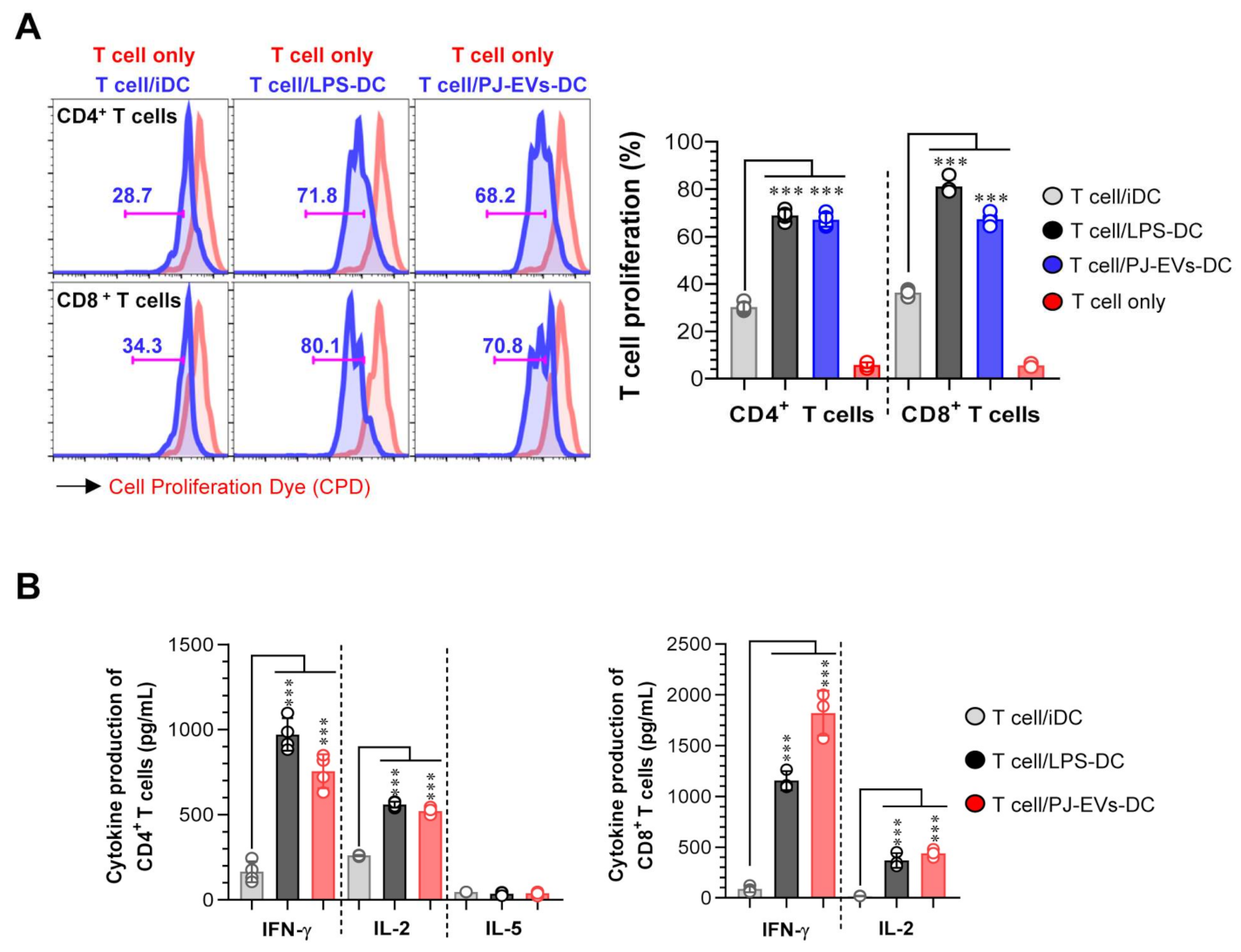 Ijms 22 10634 g005 Ijms 22 10634 g005
