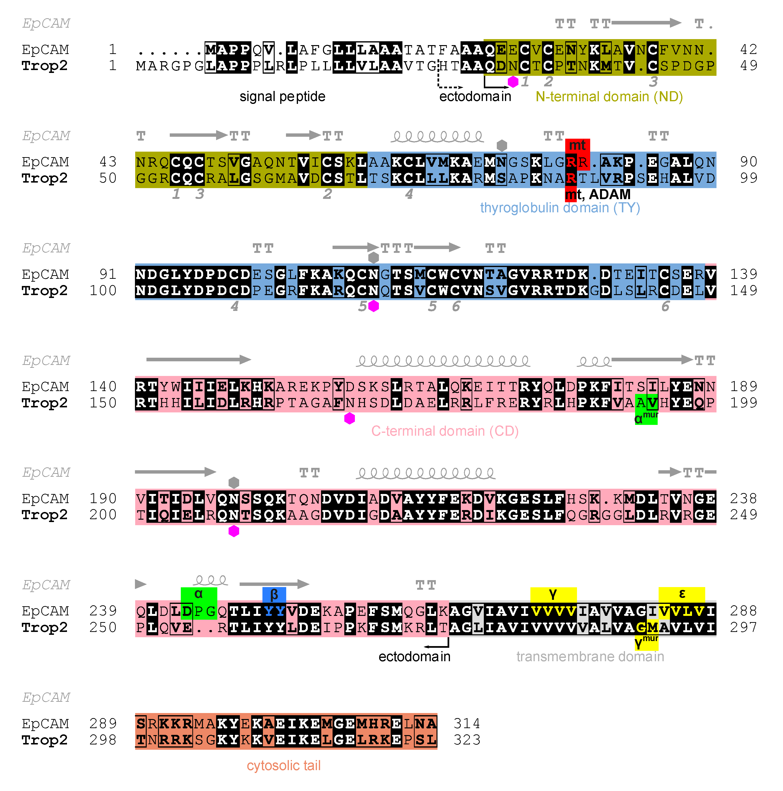 Ijms 22 10640 g001 550