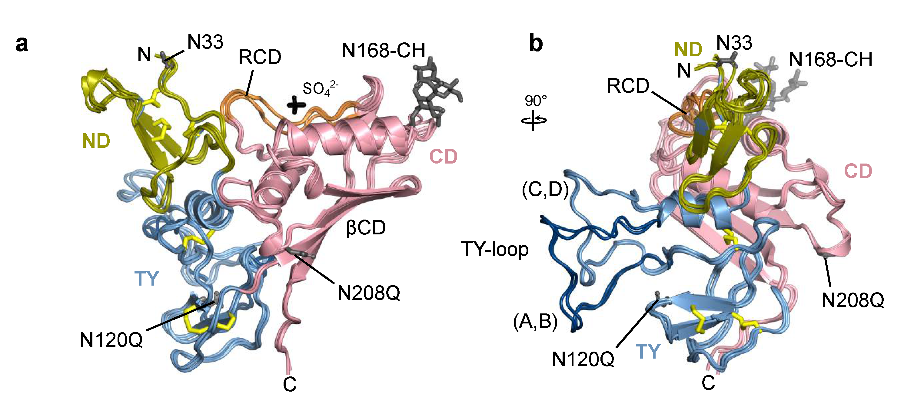 Ijms 22 10640 g003 550