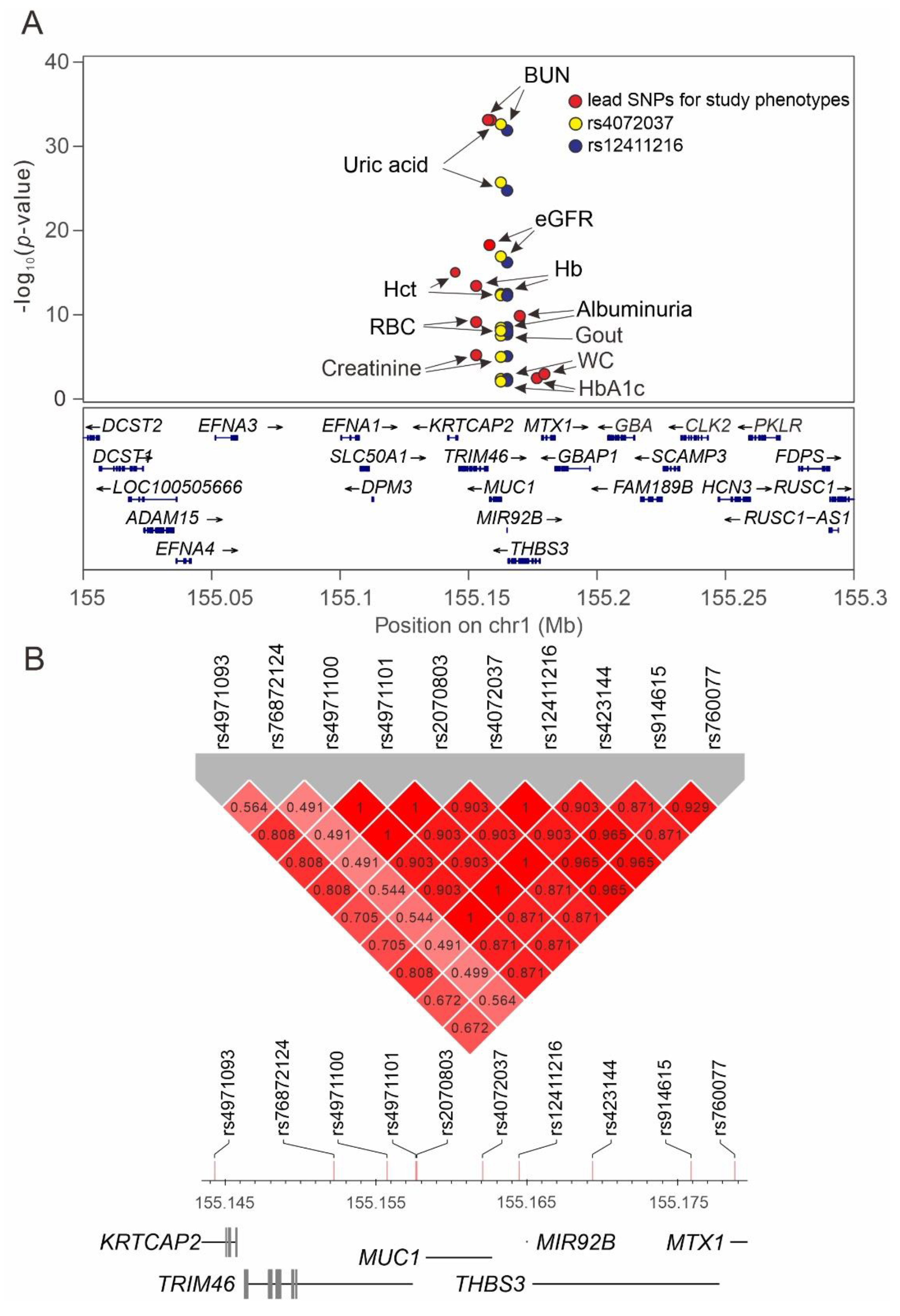 Ijms 22 10641 g004 550
