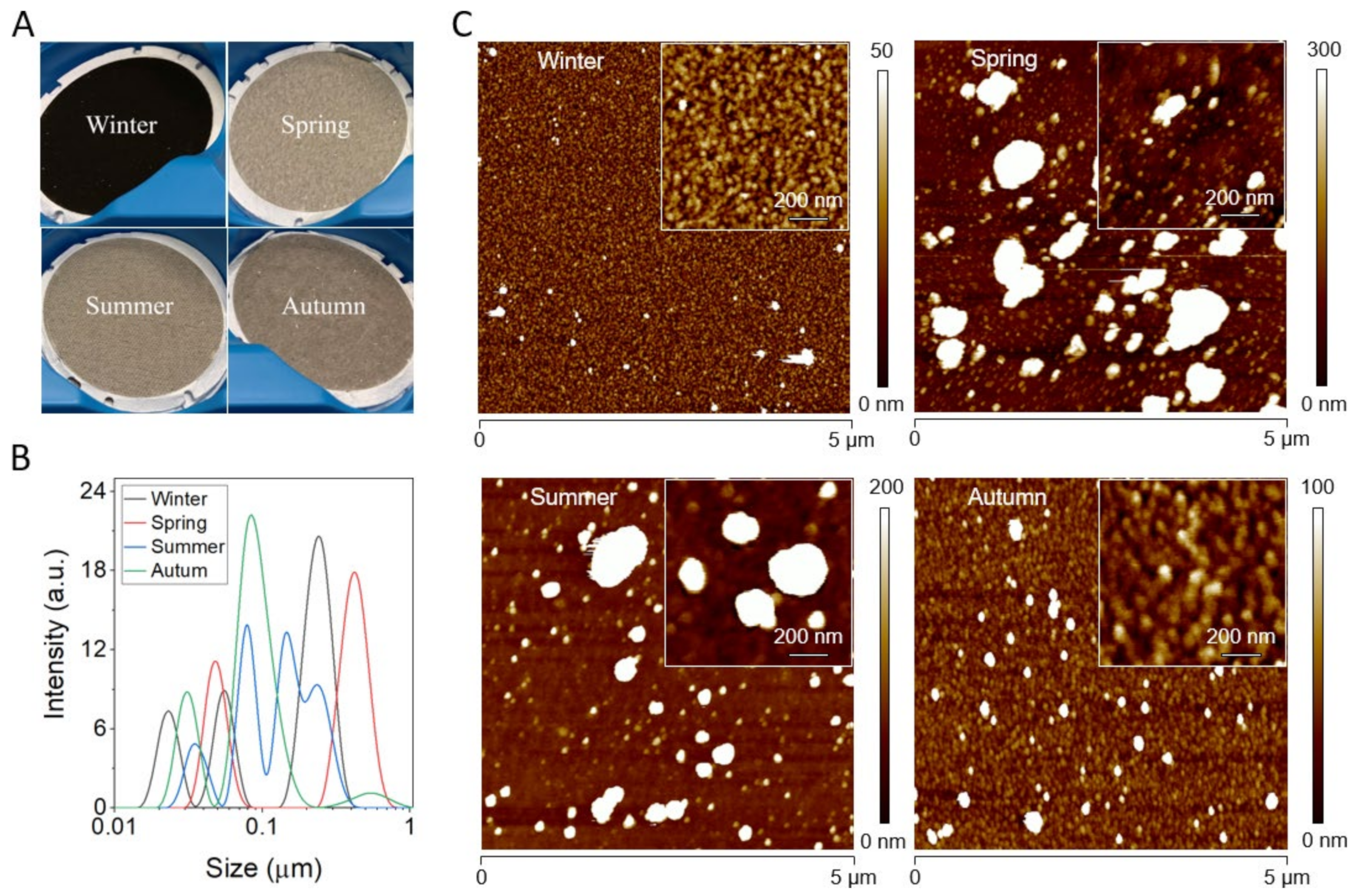 Ijms 22 10645 g001 550