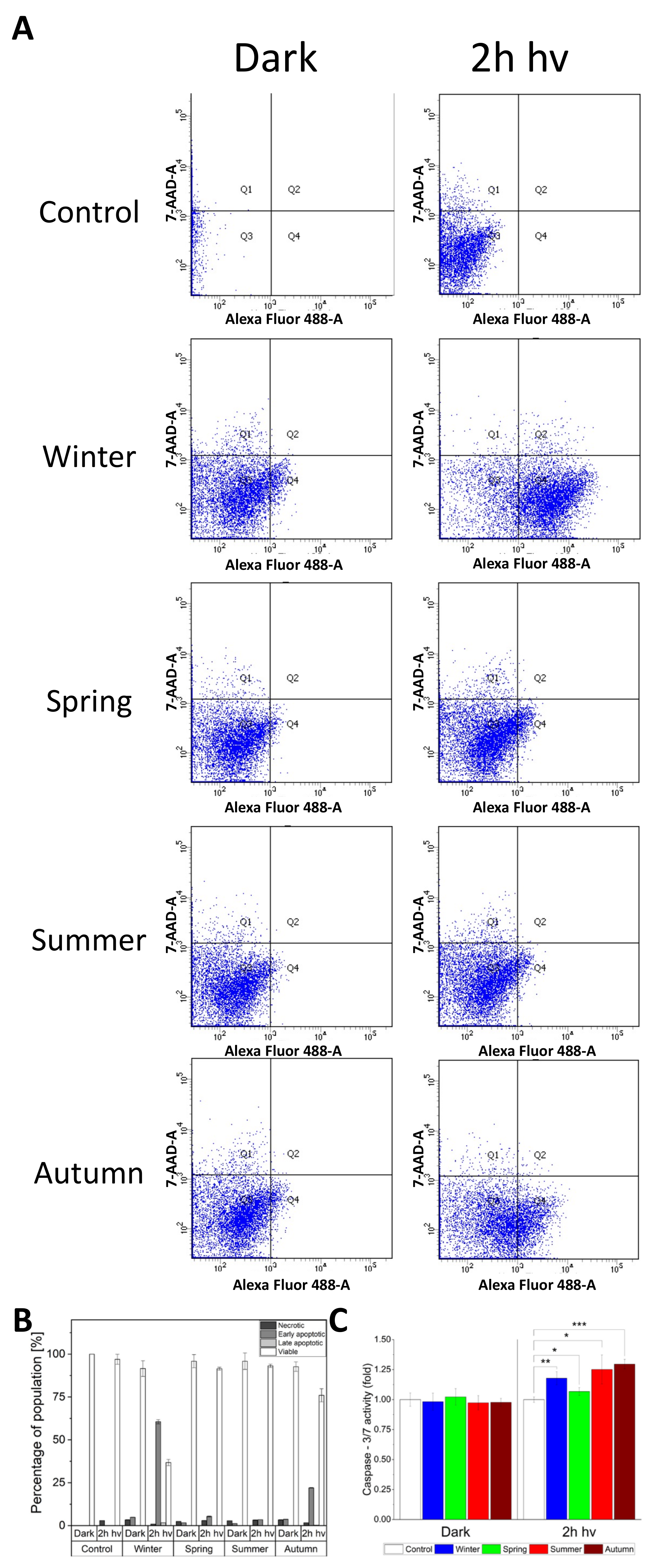 Ijms 22 10645 g007 550