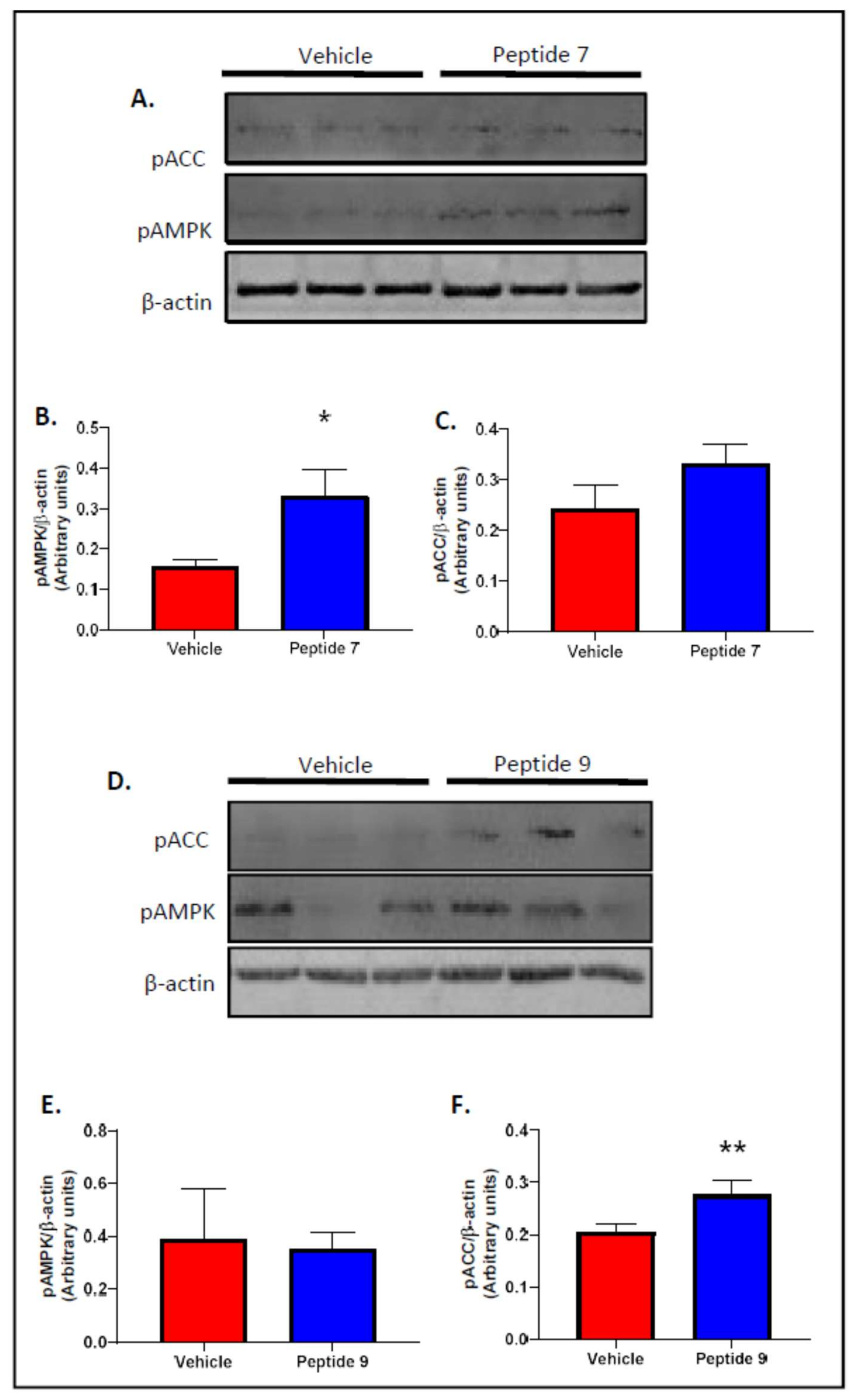 Ijms 22 10647 g004 550