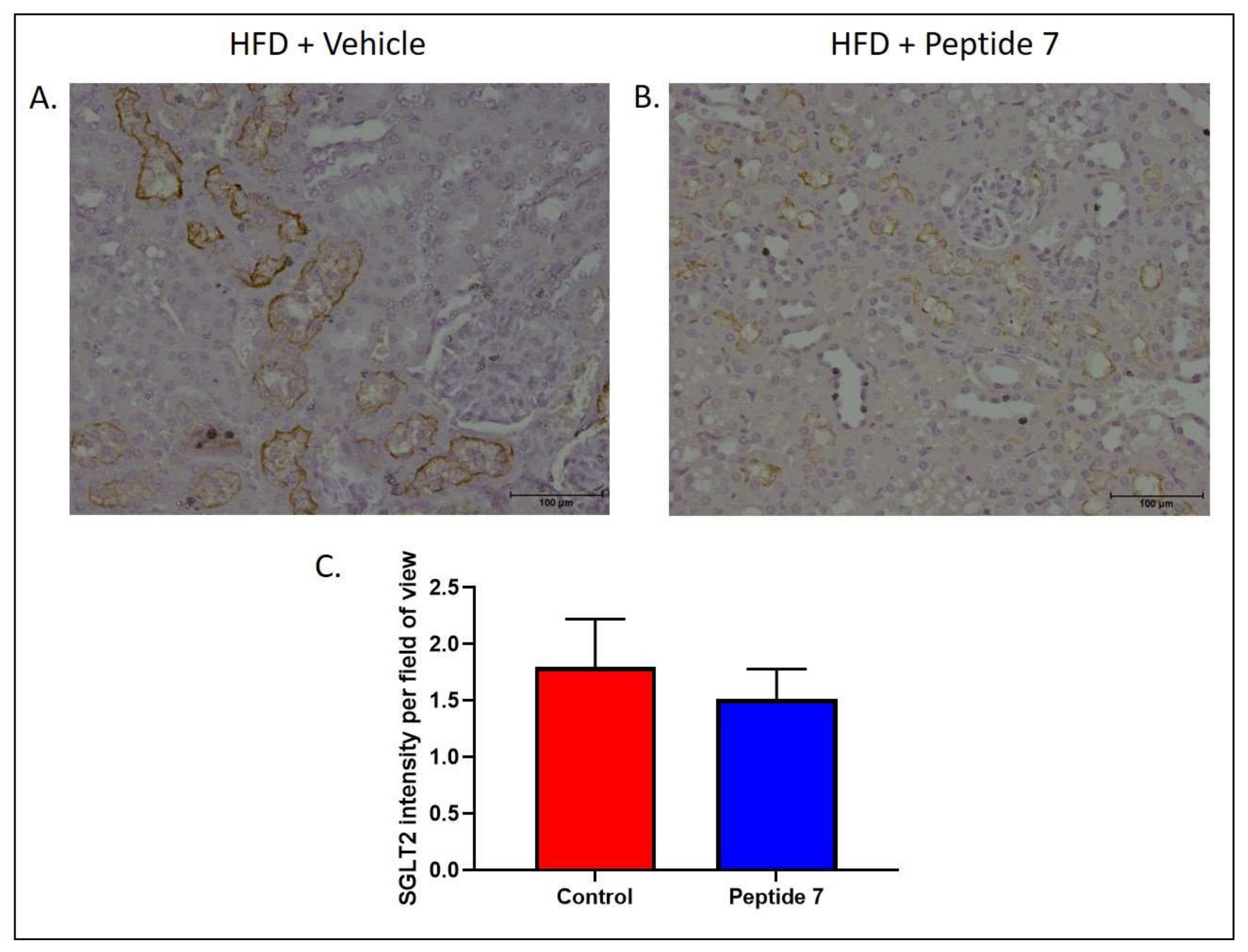 Ijms 22 10647 g007 550