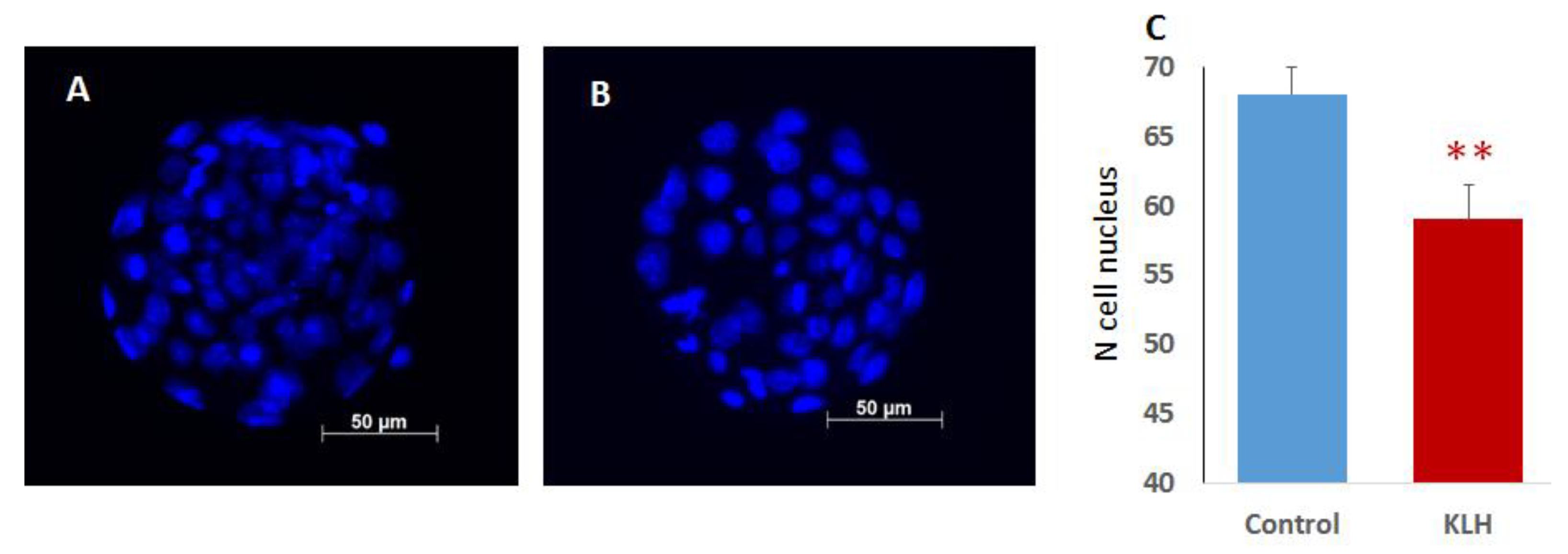 Ijms 22 10650 g002 550