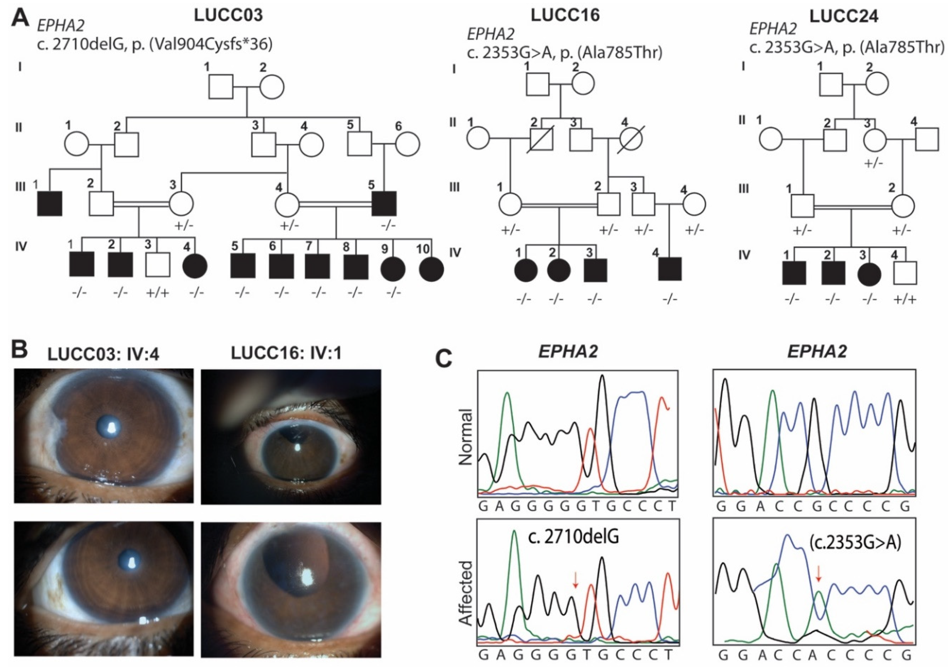 Ijms 22 10655 g001 550