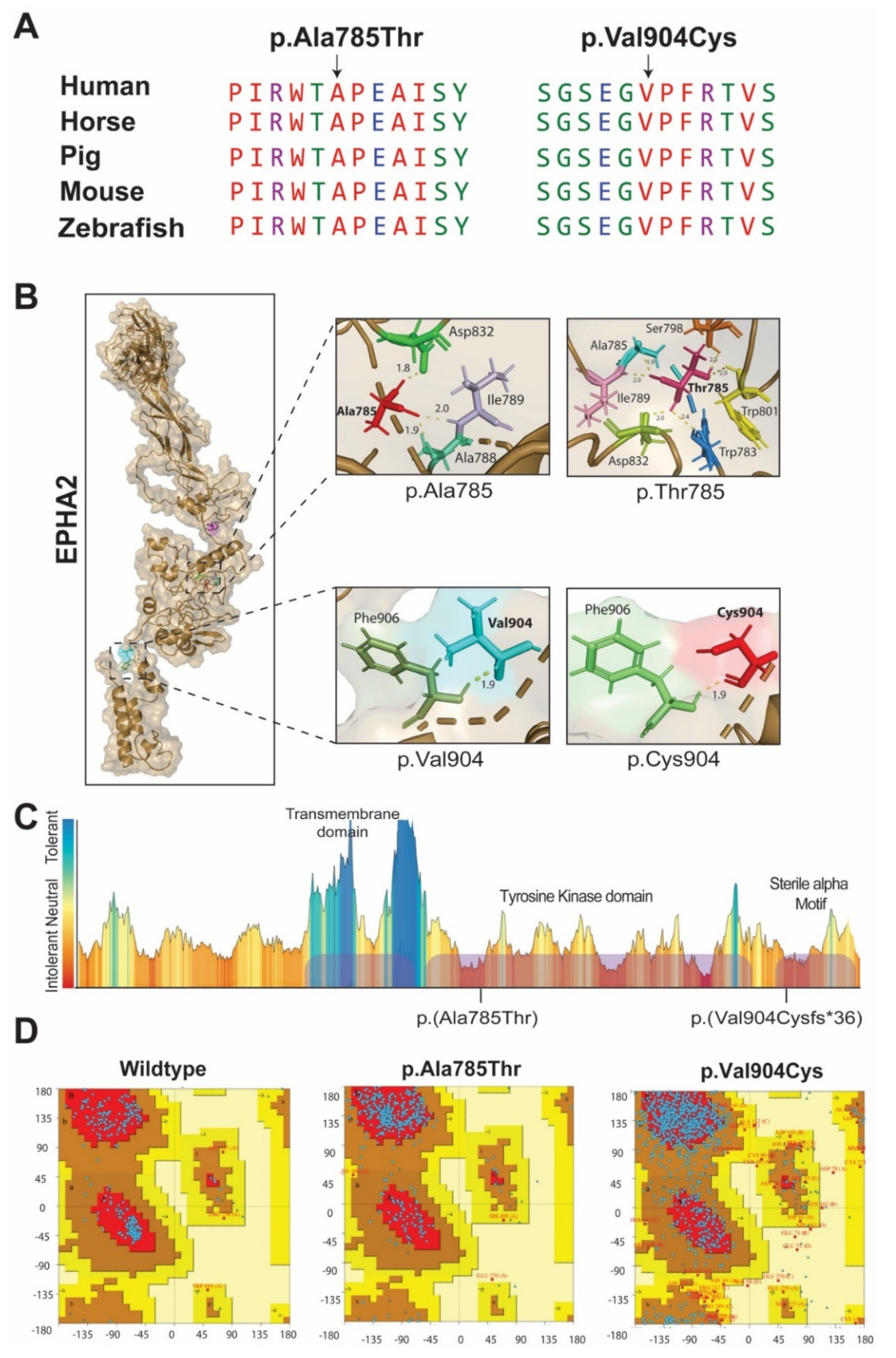 Ijms 22 10655 g002 550
