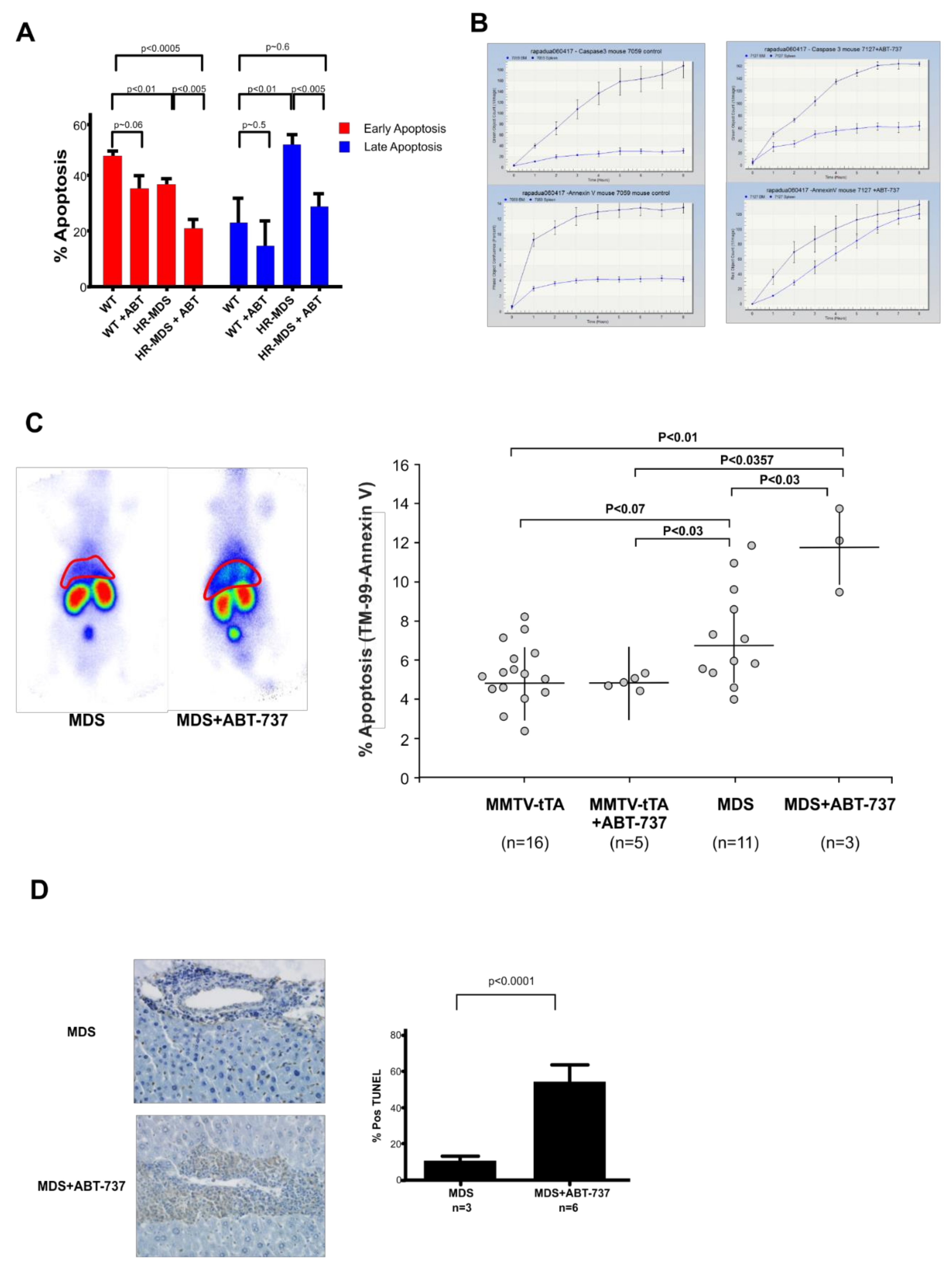 Ijms 22 10658 g002 Ijms 22 10658 g002