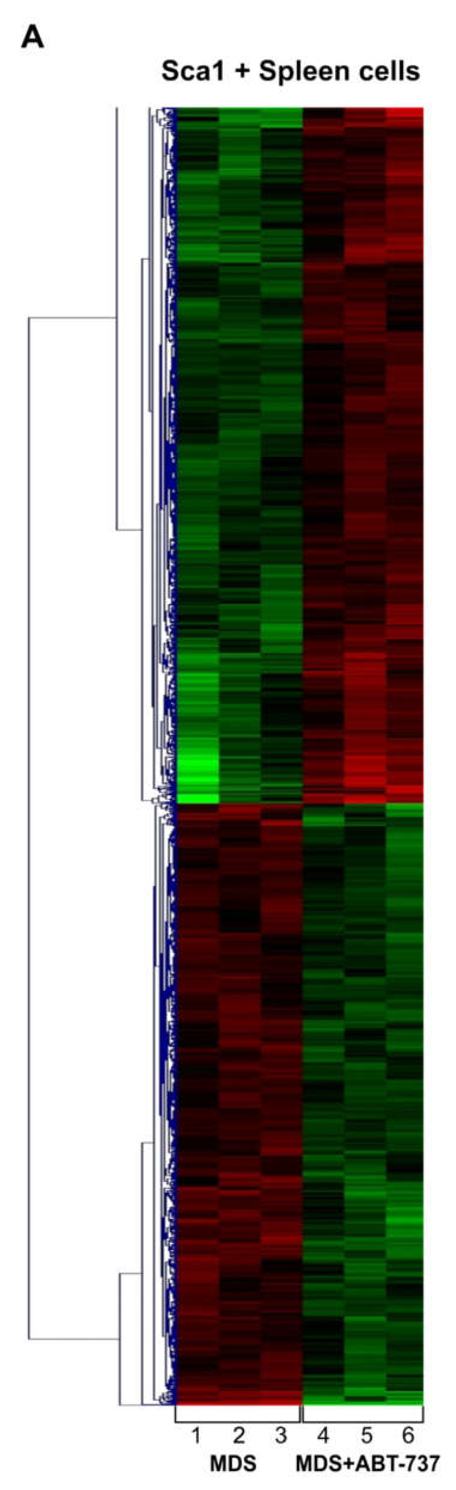 Ijms 22 10658 g004a Ijms 22 10658 g004a