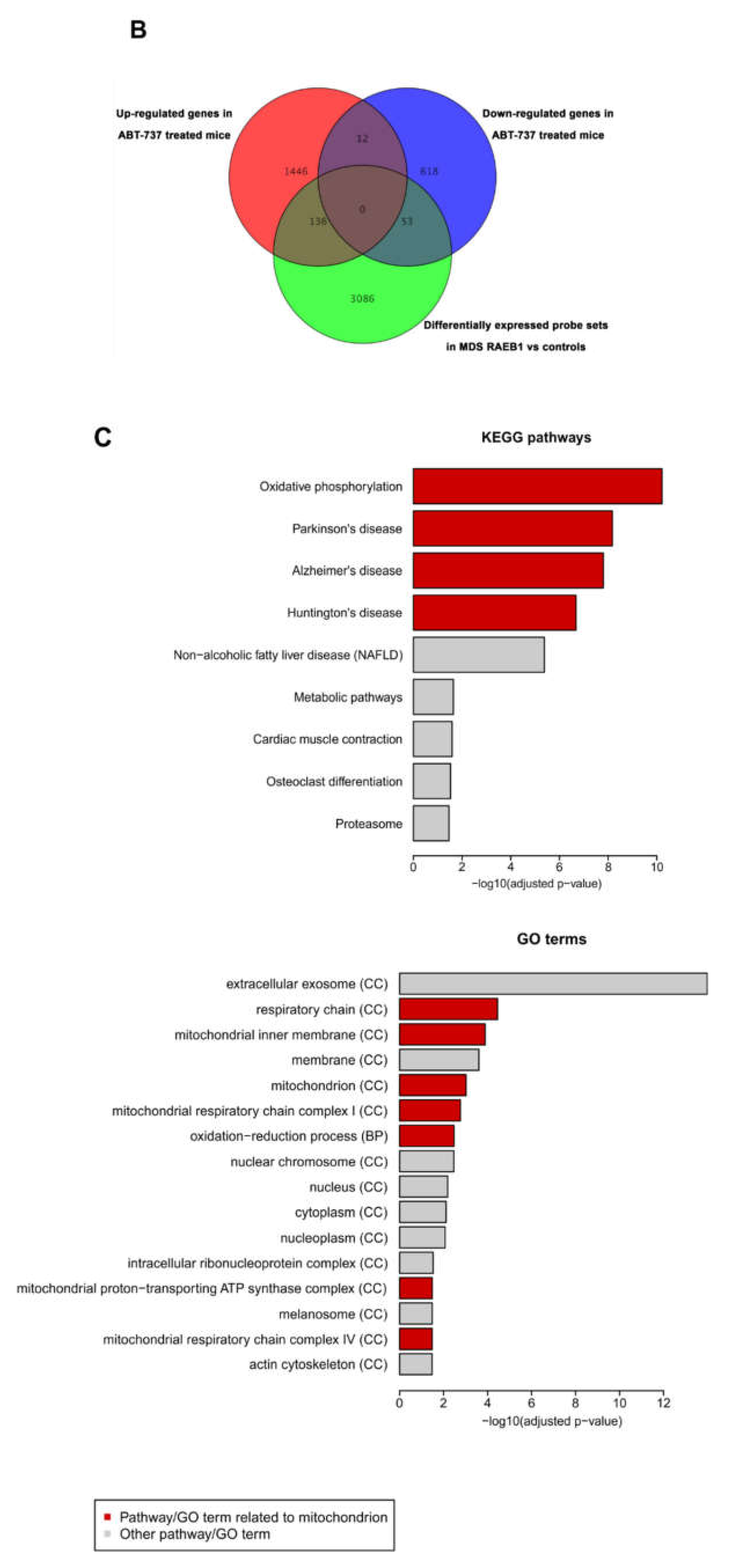 Ijms 22 10658 g004b Ijms 22 10658 g004b