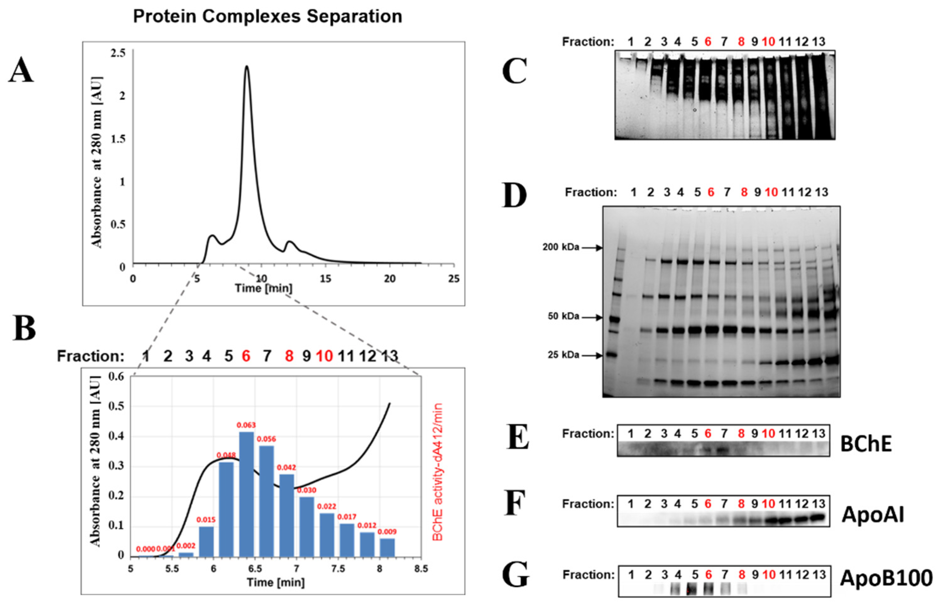 Ijms 22 10662 g001 550