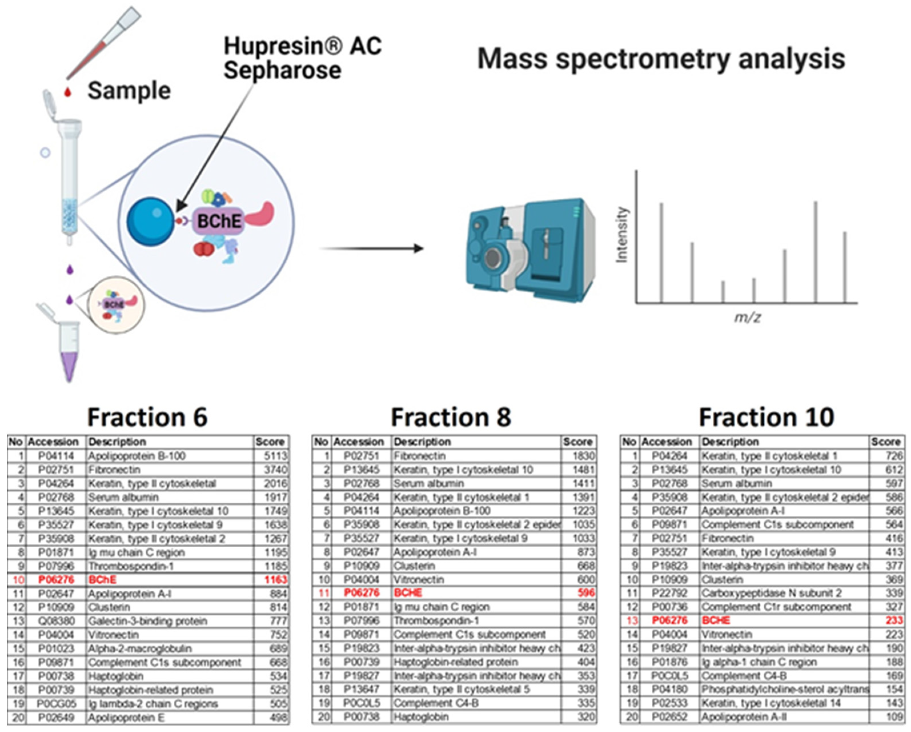 Ijms 22 10662 g002 550
