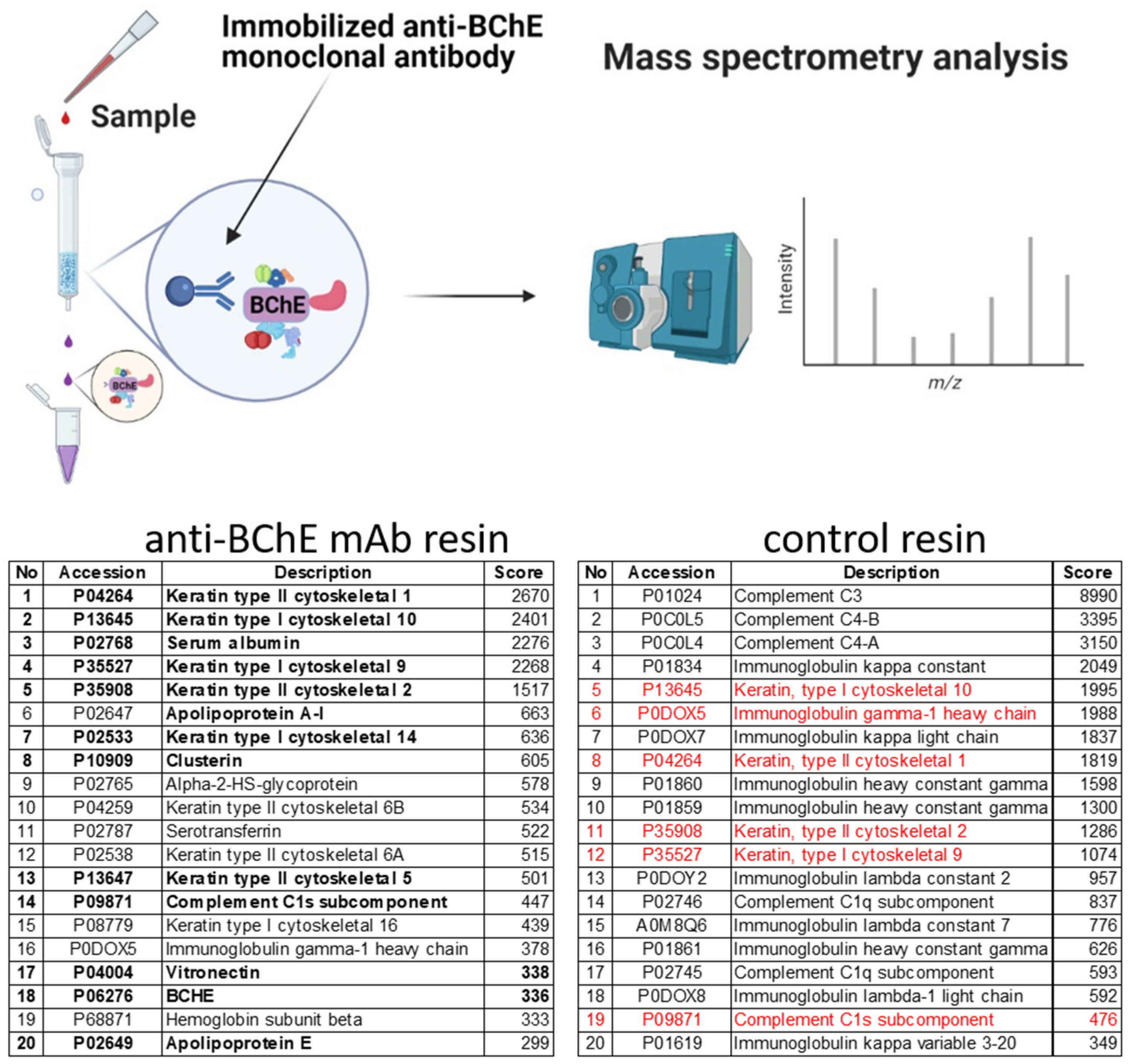 Ijms 22 10662 g004 550