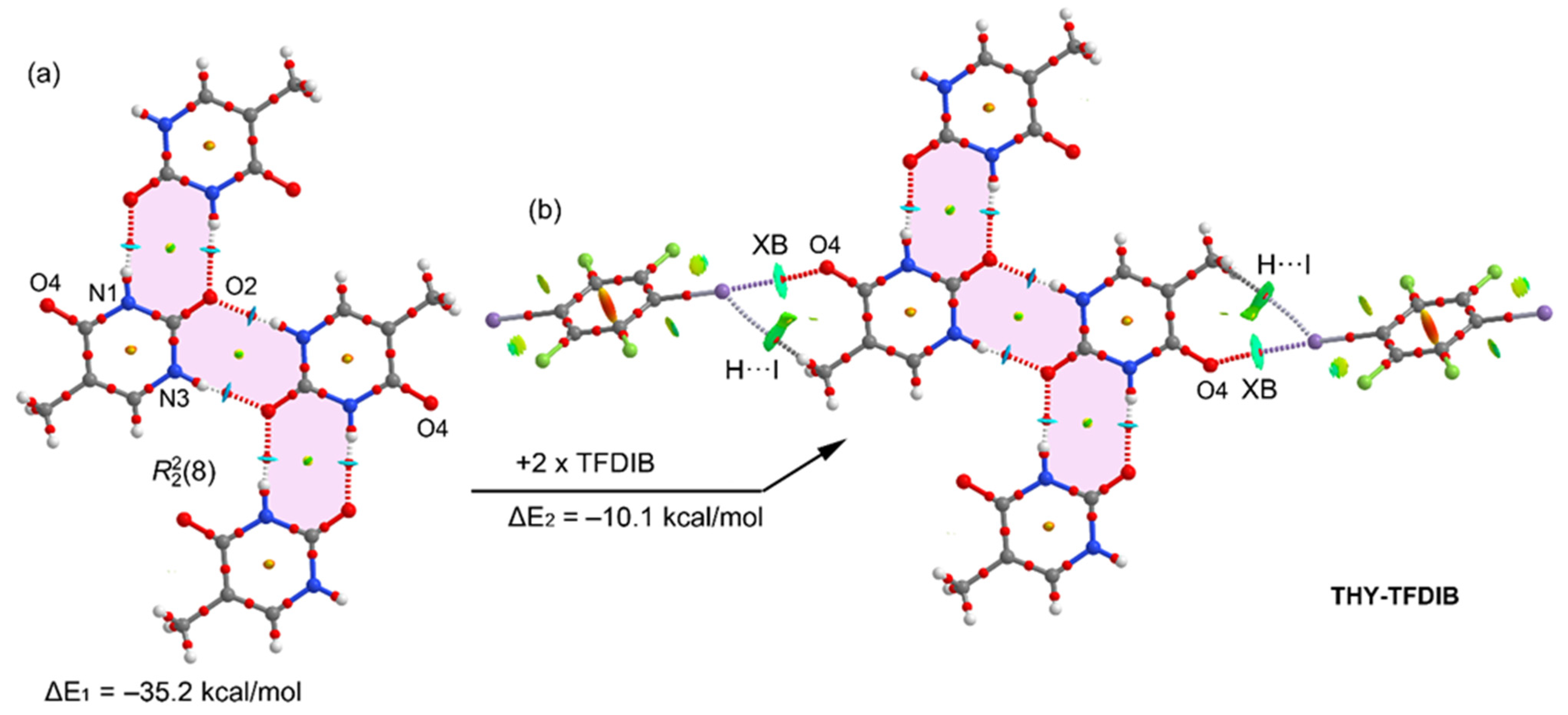 Ijms 22 10663 g006 550