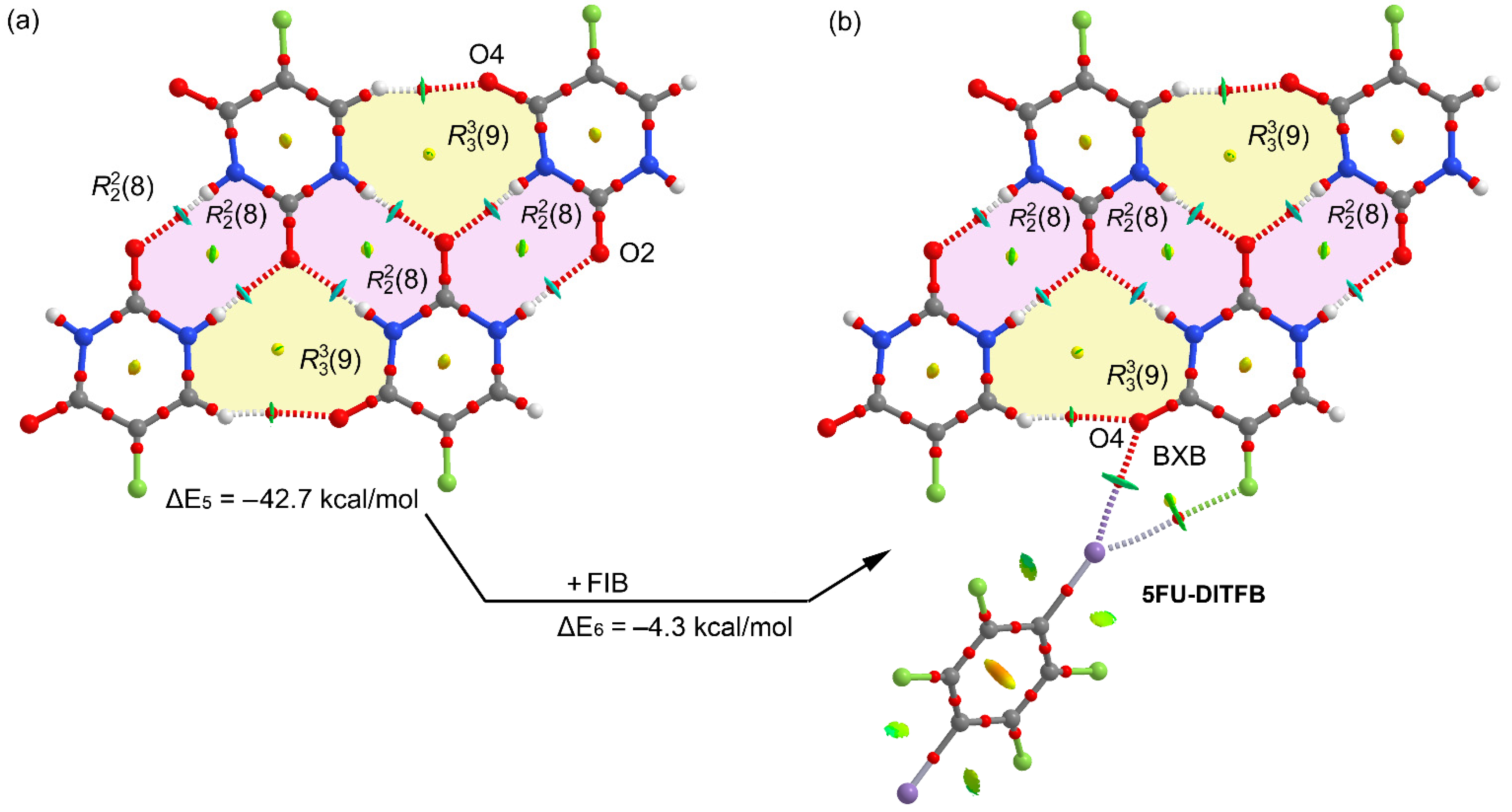 Ijms 22 10663 g008 550