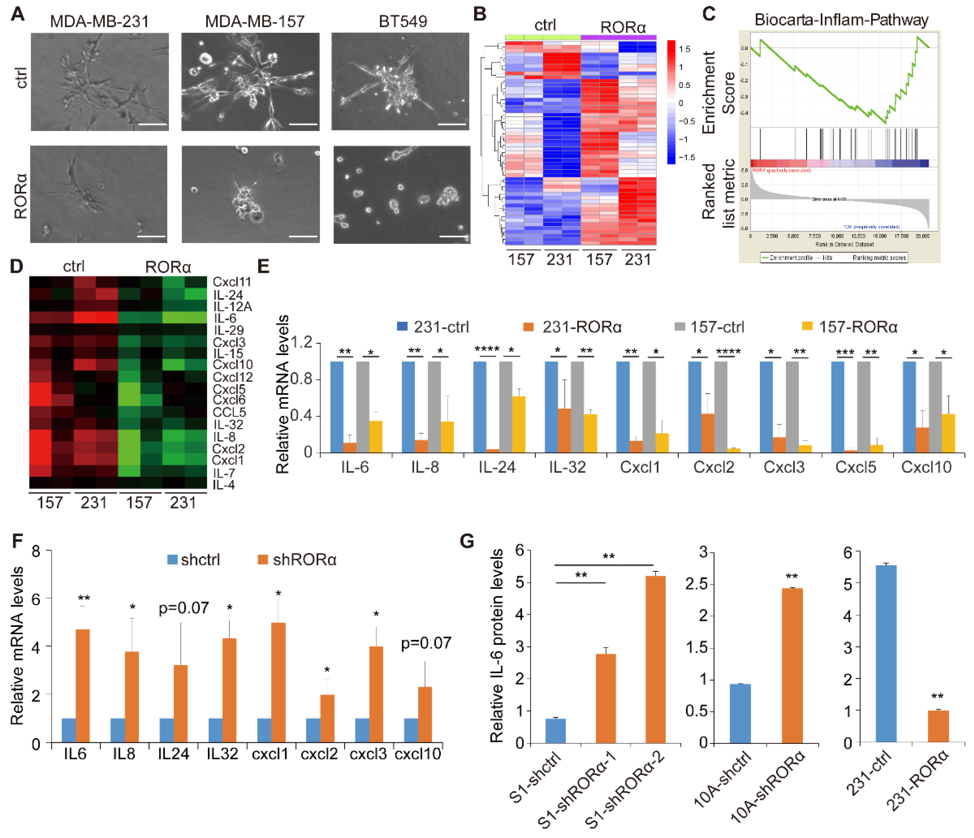 Ijms 22 10665 g001 550