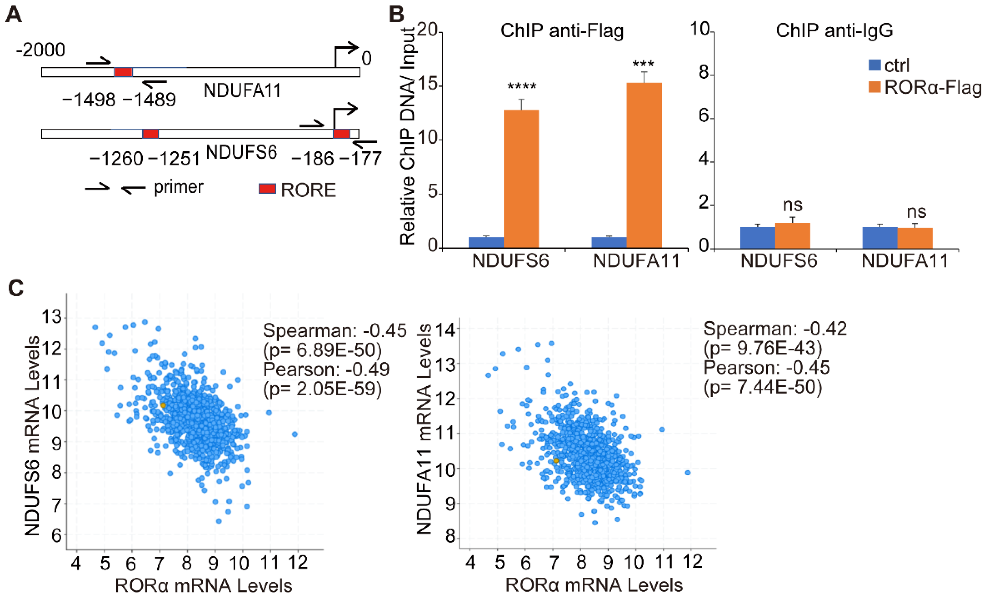 Ijms 22 10665 g004 550