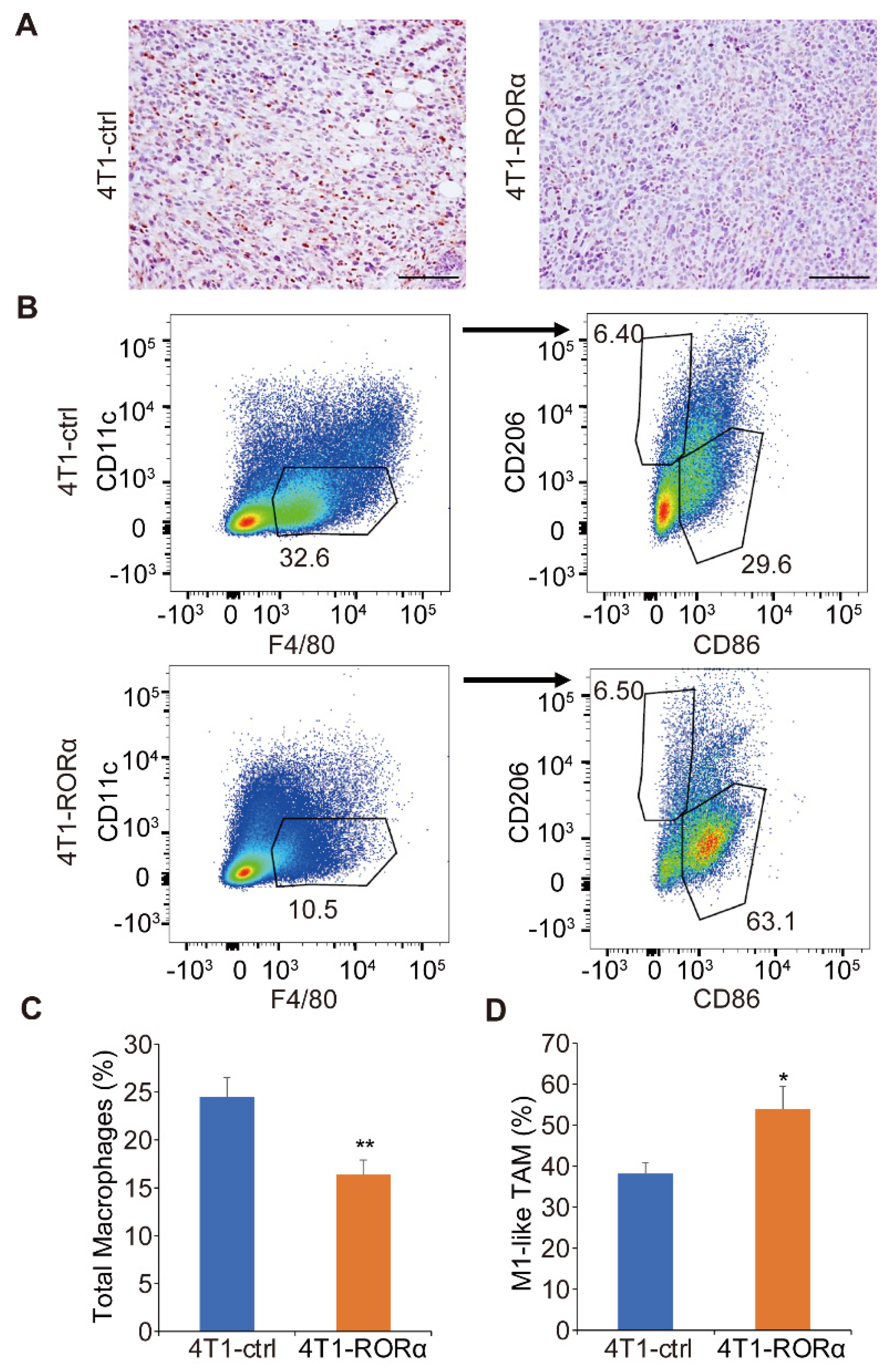 Ijms 22 10665 g006 550