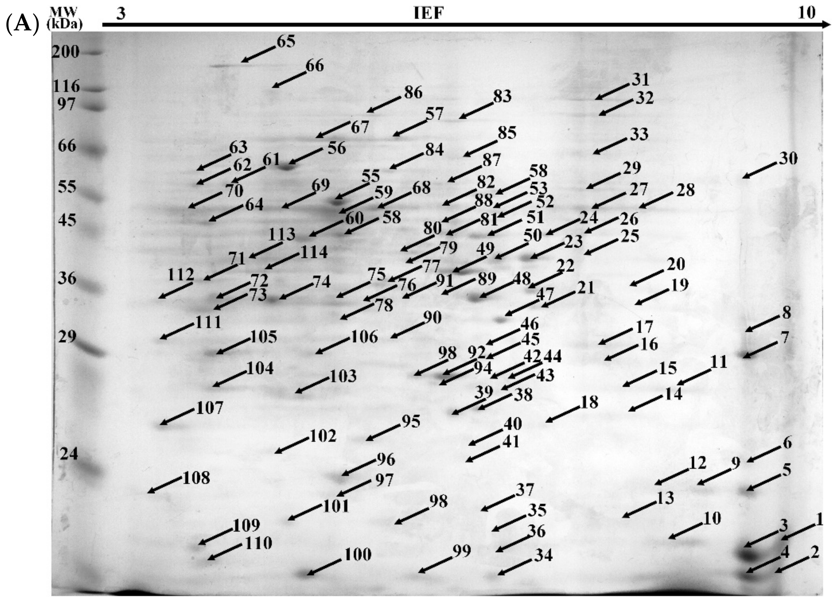 Ijms 22 10676 g003a 550