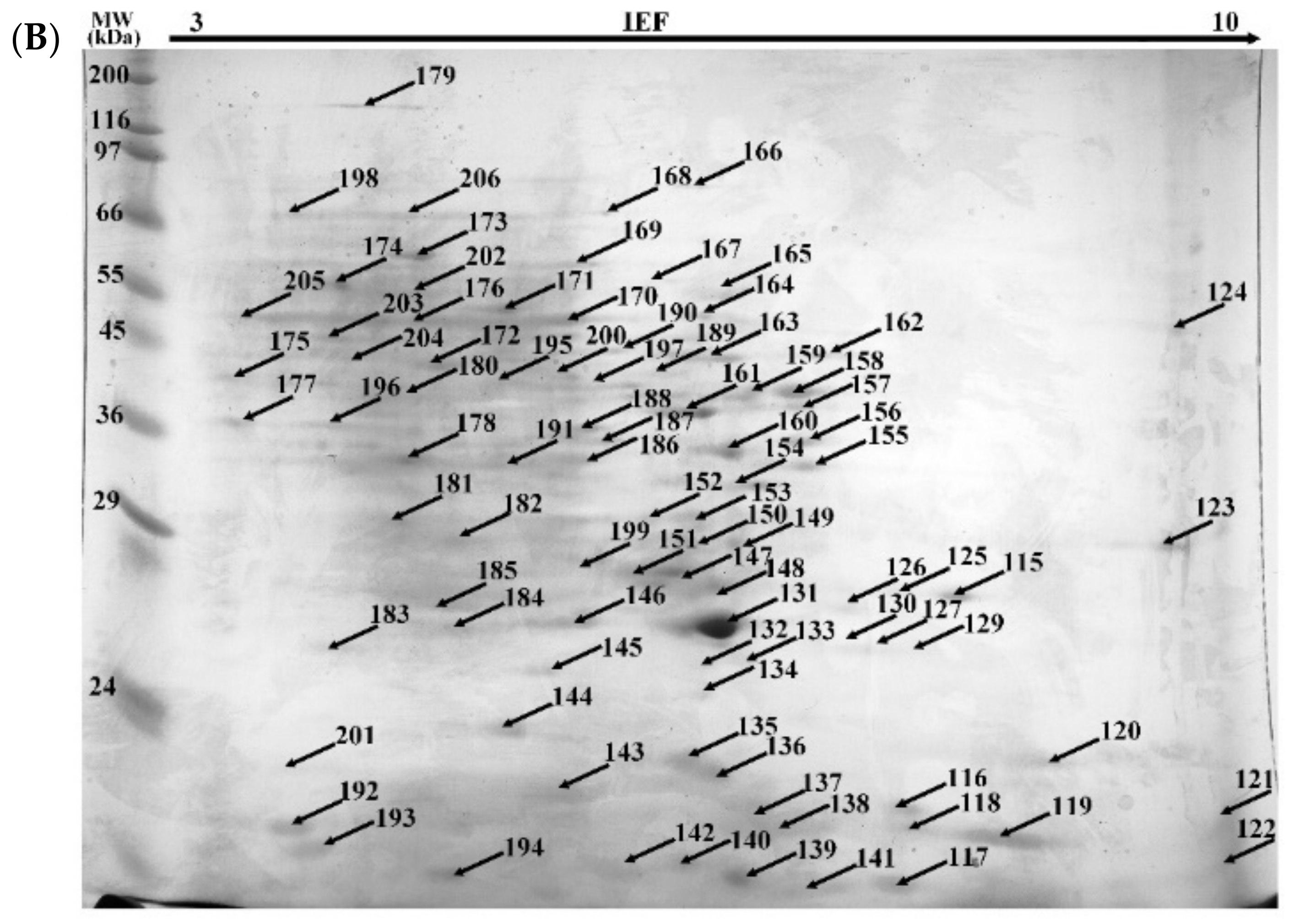 Ijms 22 10676 g003b 550