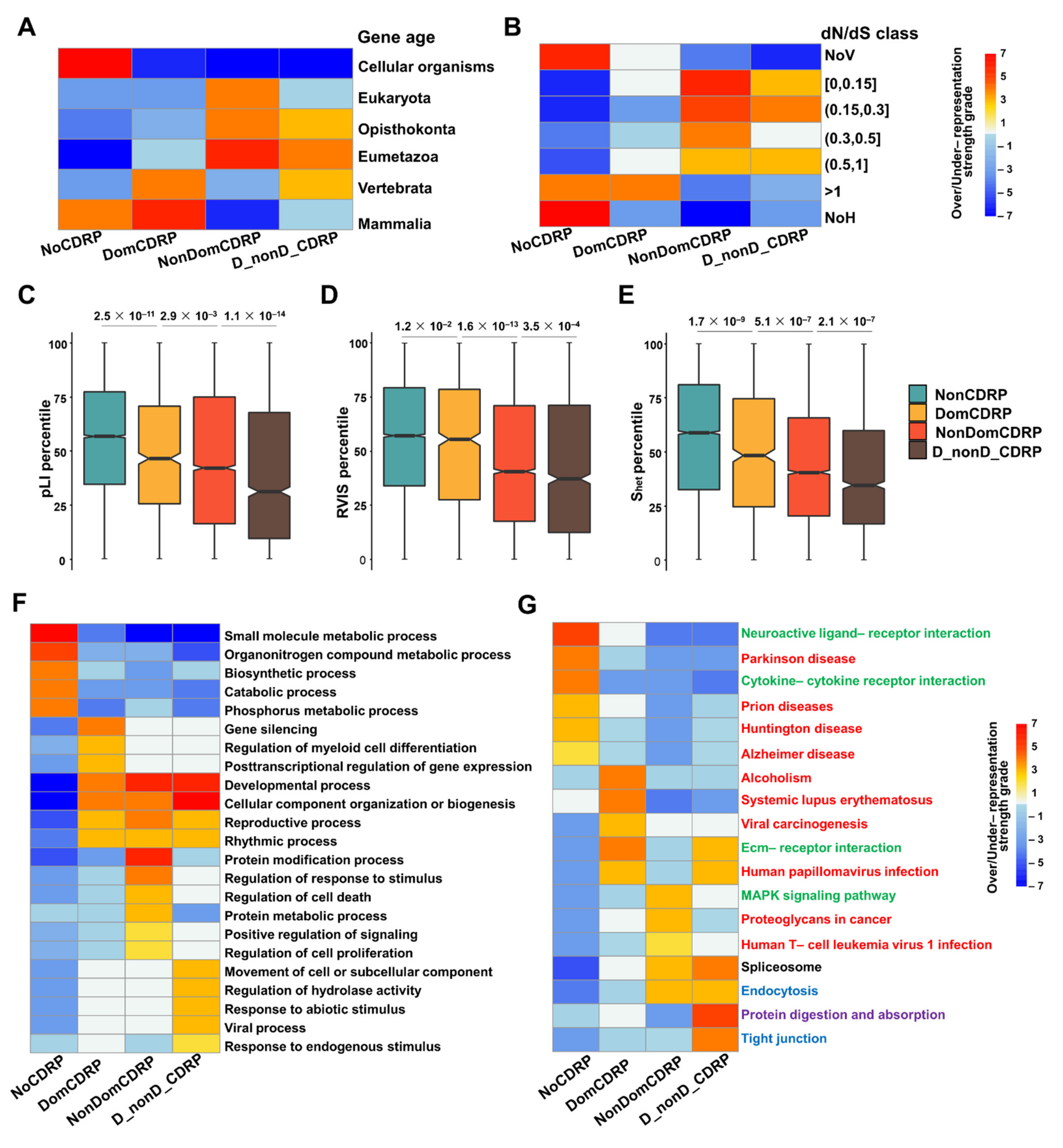 Ijms 22 10677 g003 Ijms 22 10677 g003