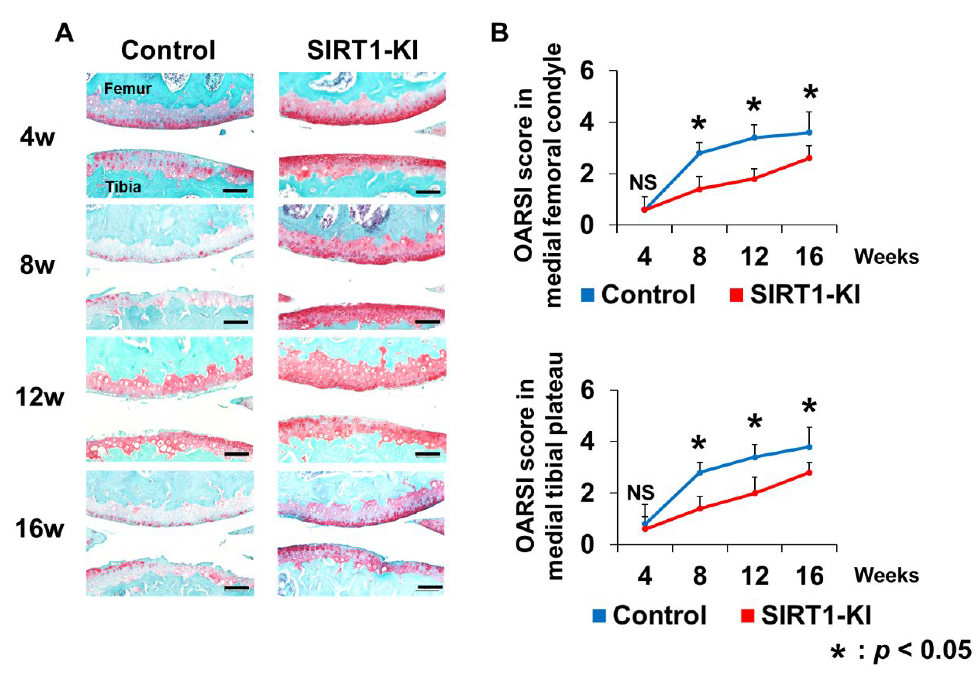 Ijms 22 10685 g002 550