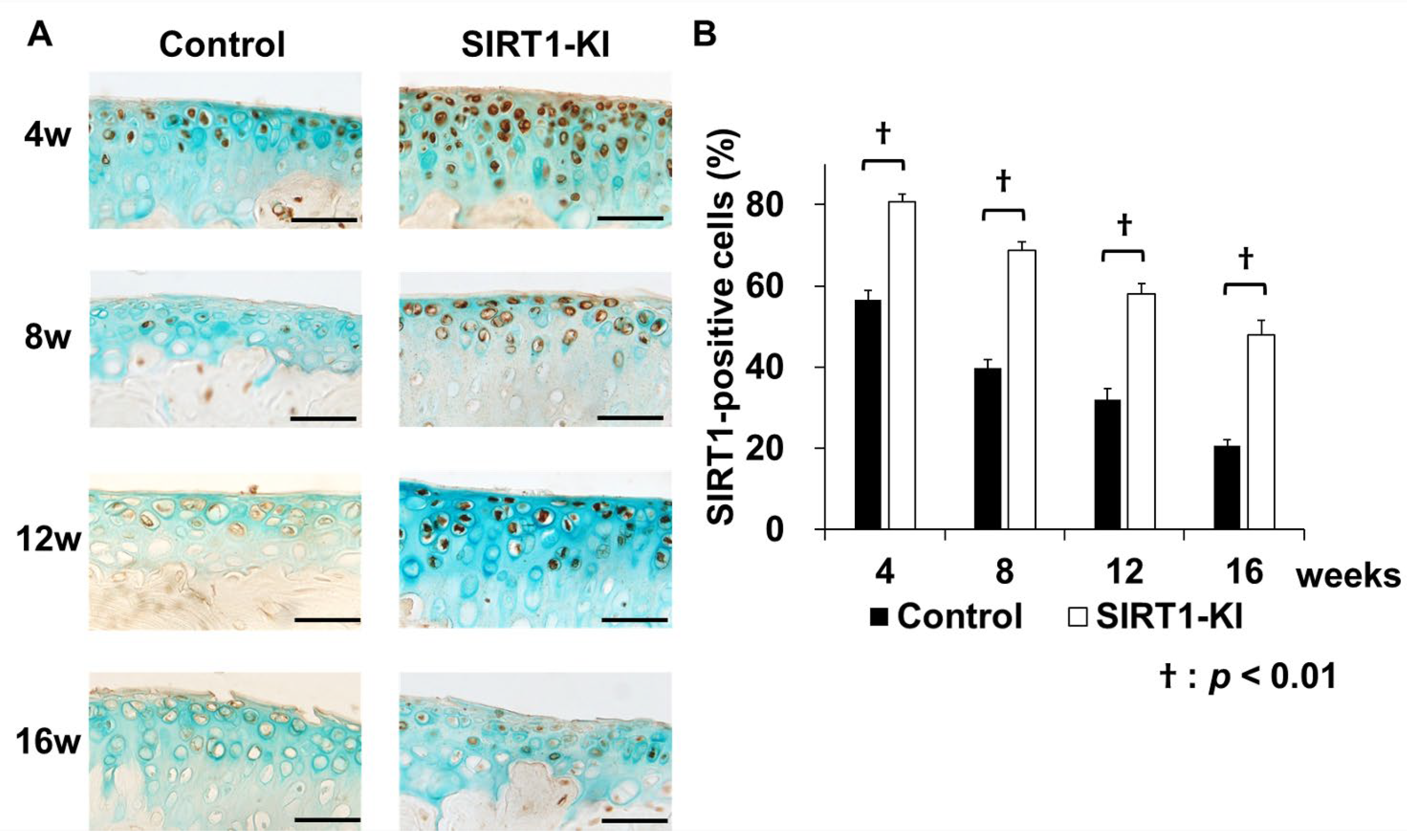 Ijms 22 10685 g003 550
