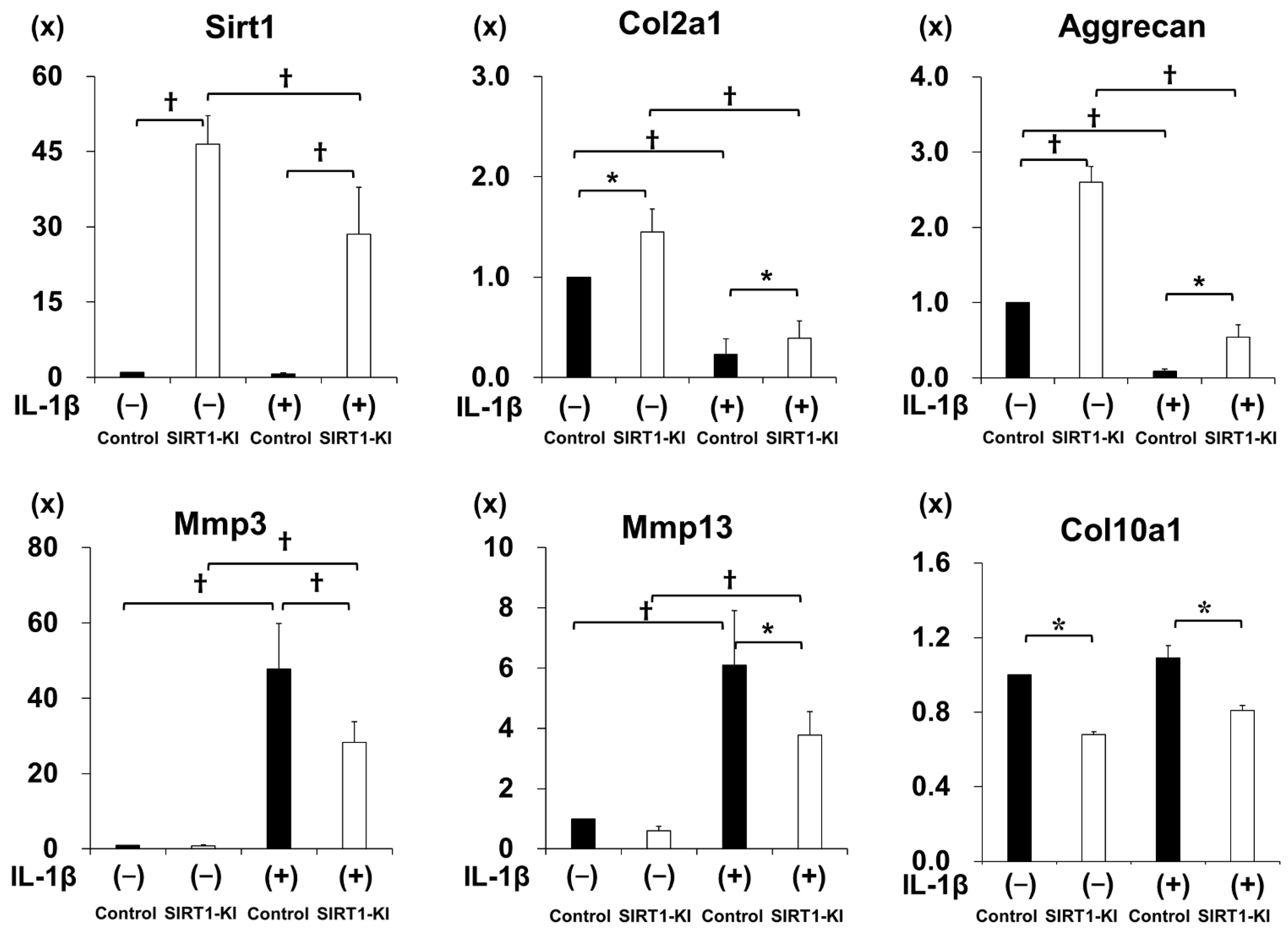 Ijms 22 10685 g005a 550
