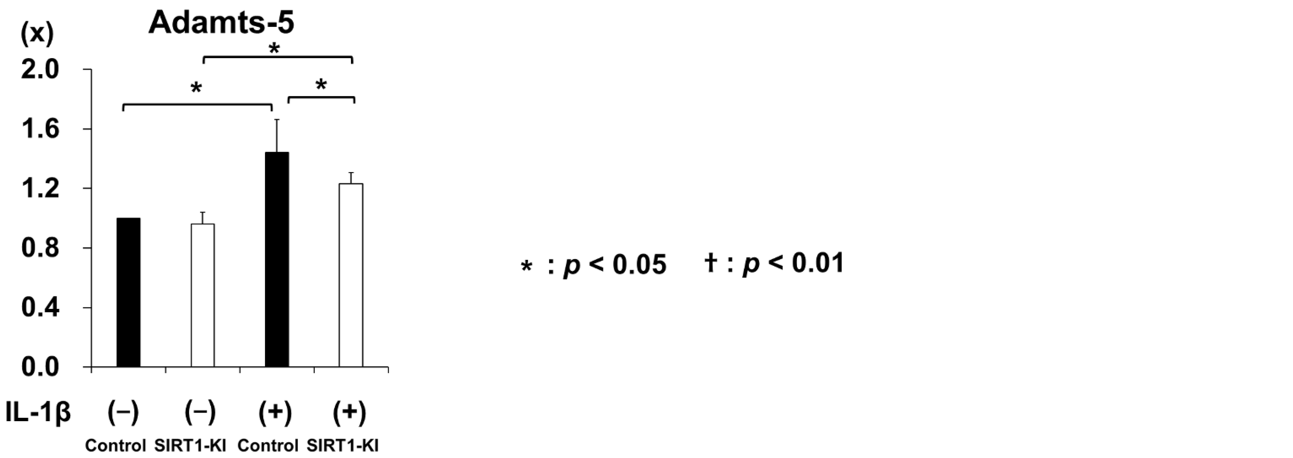 Ijms 22 10685 g005b 550