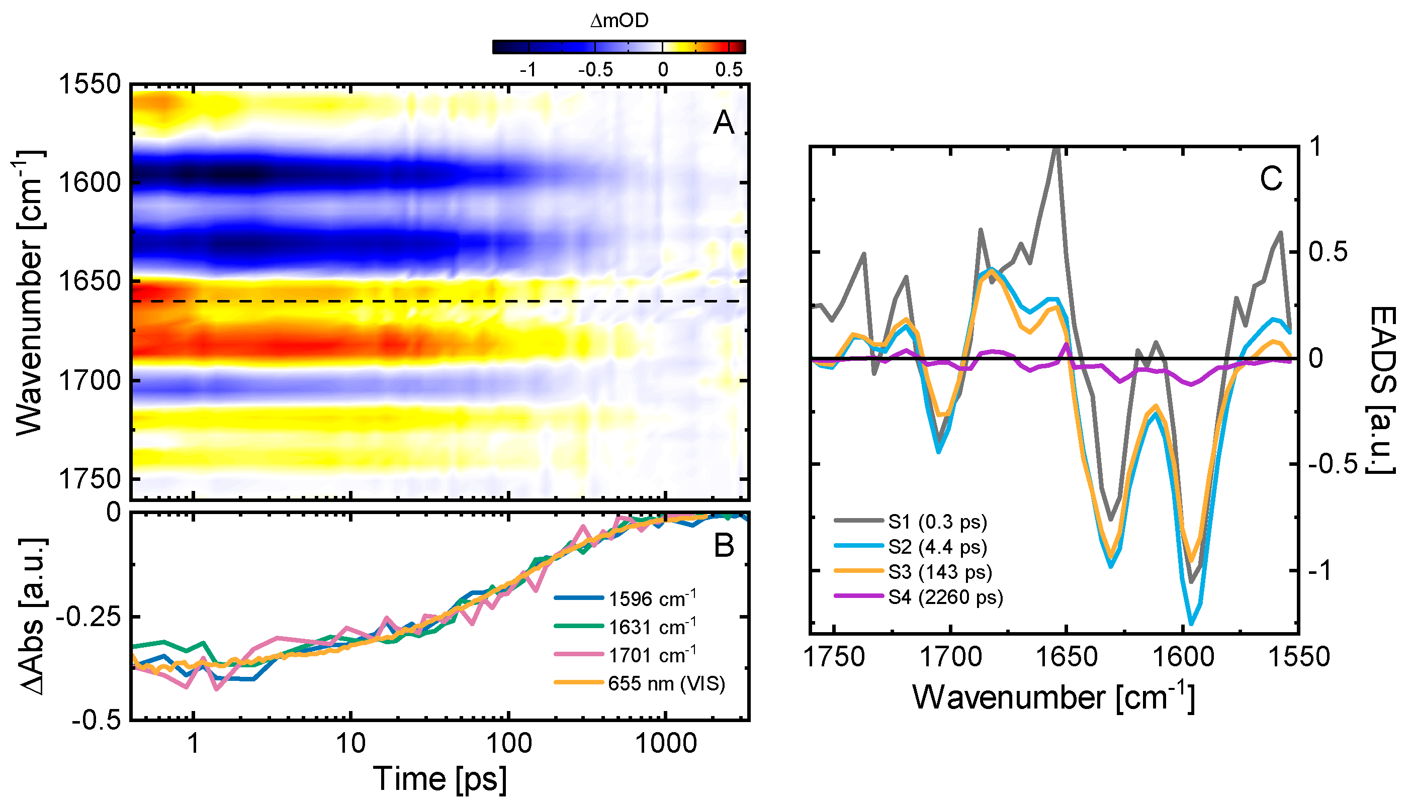 Ijms 22 10690 g003 Ijms 22 10690 g003